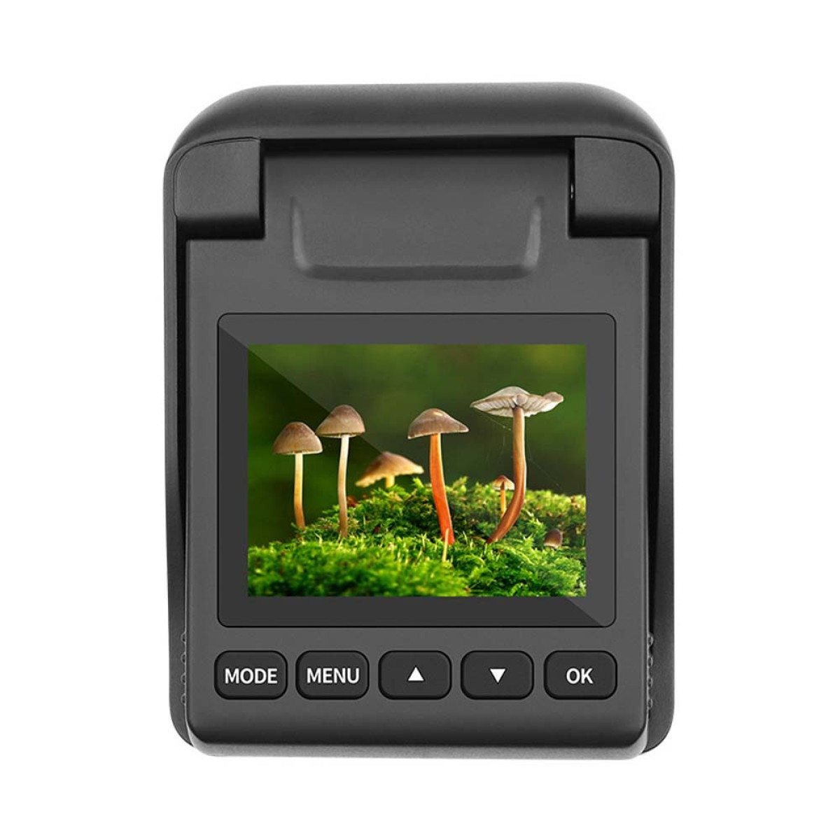 Small black device displaying four mushrooms on moss.