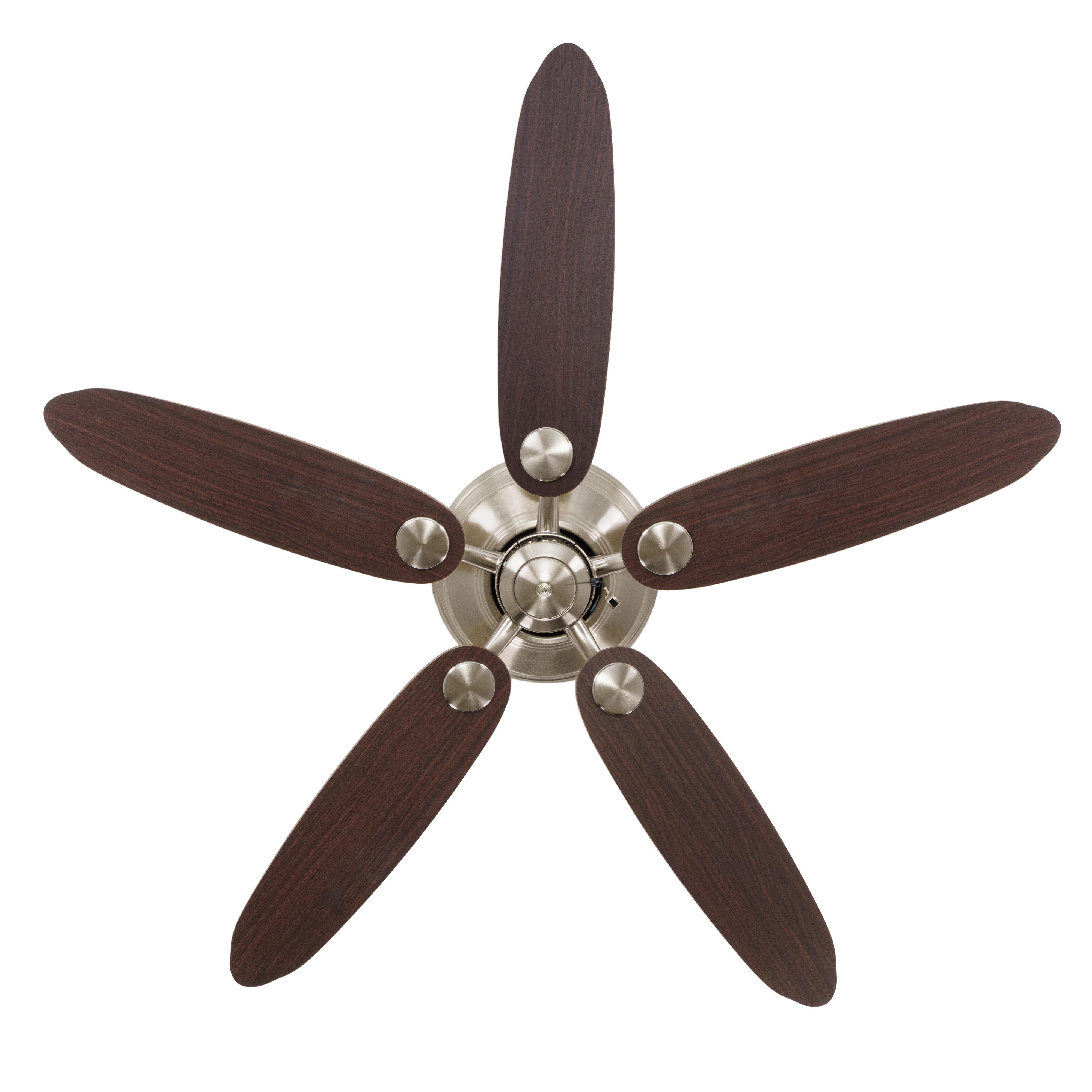 Un ventilatore da soffitto con cinque pale in legno scuro e un fissaggio centrale in metallo.