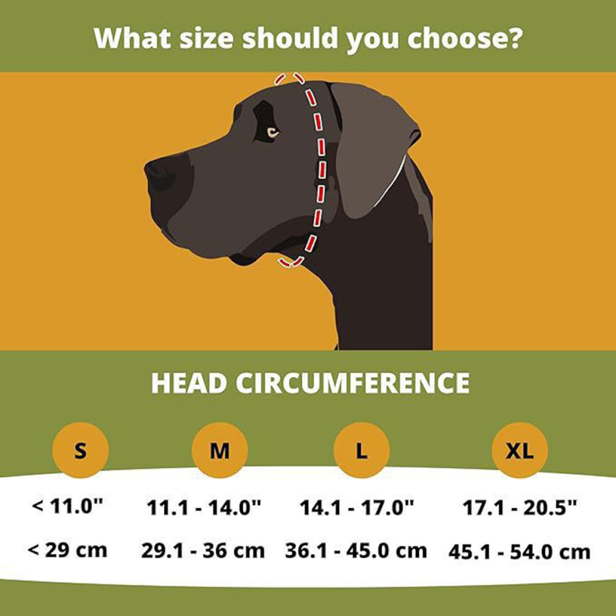 Diagram shows dog head with sizes S-XL for head circumference.
