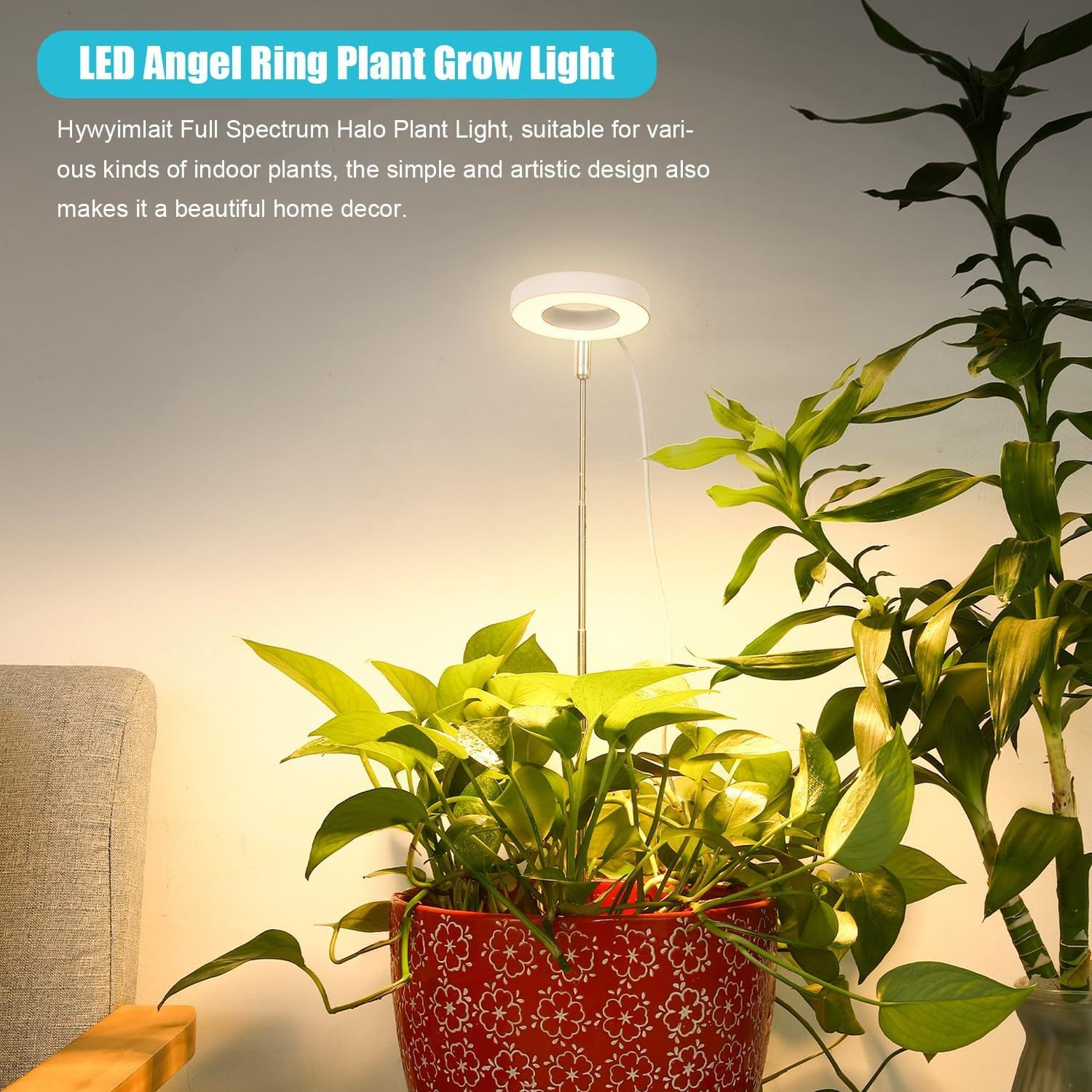 Una luce LED per piante ad anello illumina piante verdi in un vaso rosso.