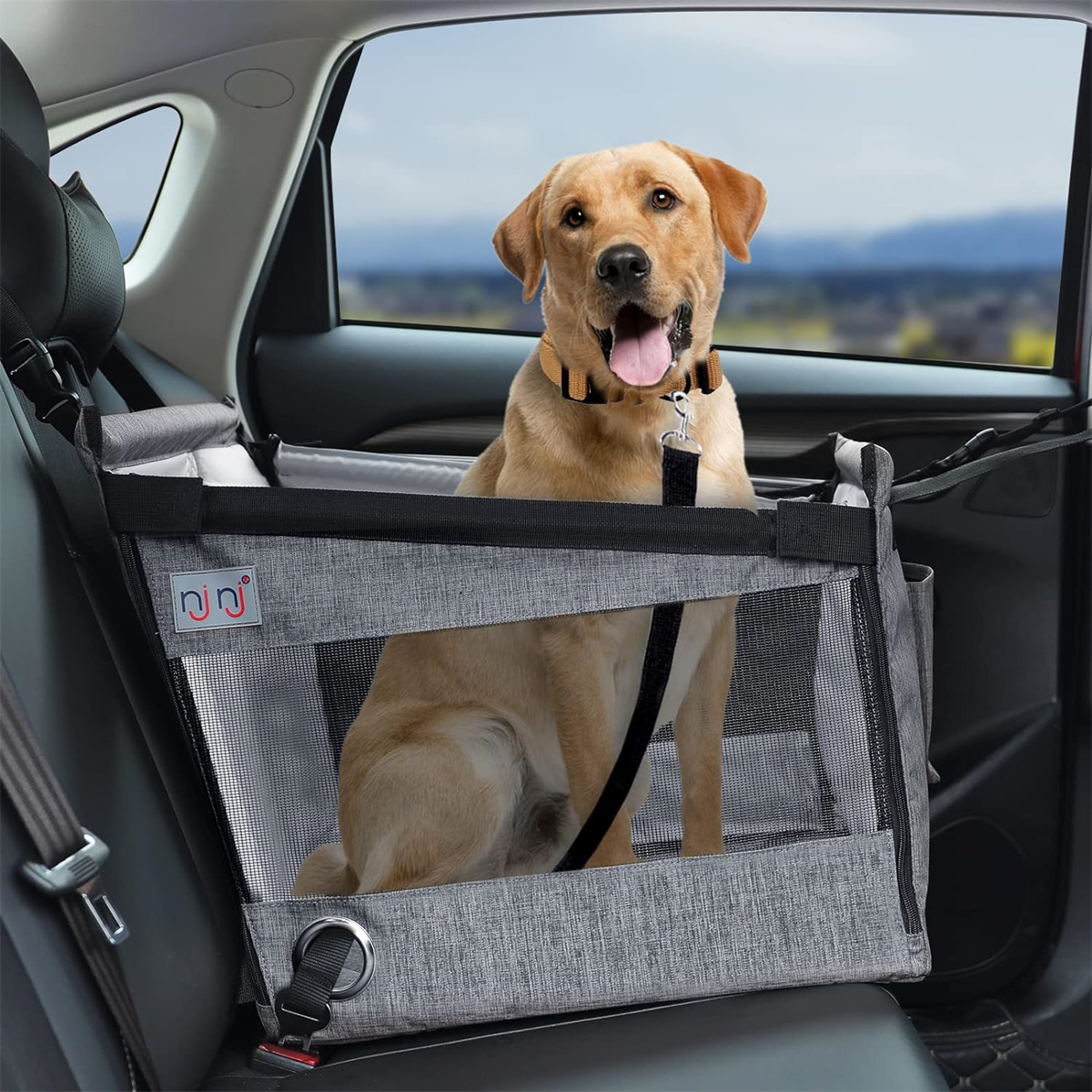 Ein Golden Retriever sitzt in einem grauen Autositz-Booster mit Netzseiten und blickt aus dem Autofenster.