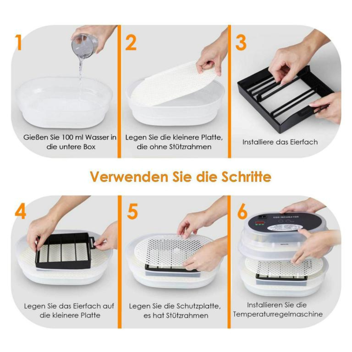 Schritt-für-Schritt-Anleitung zum Aufbau eines Brutapparats: Wasser einfüllen, Platten einsetzen, Fach installieren.