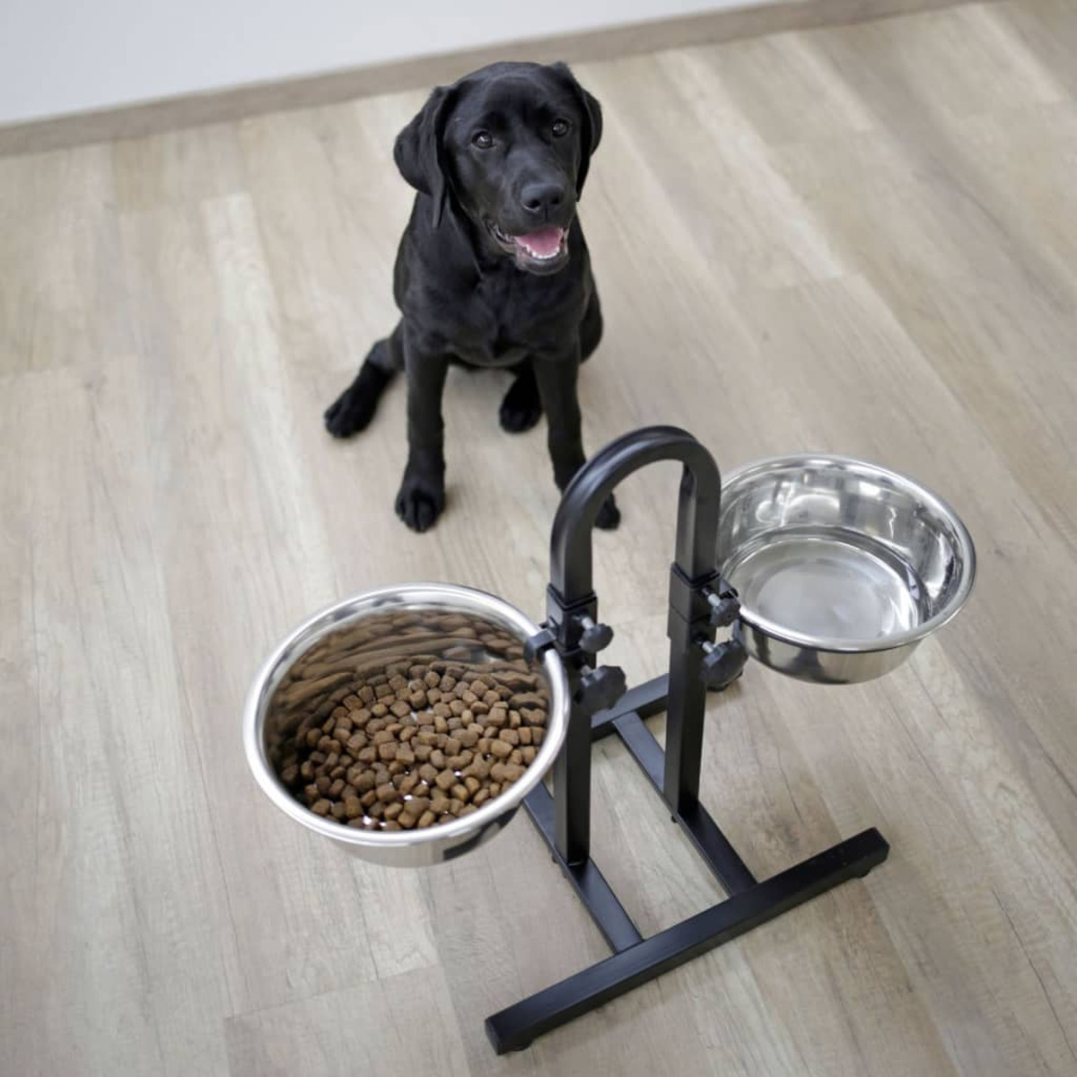Un Labrador nero è seduto vicino a una mangiatoia rialzata per cani con una ciotola piena di crocchette, l'altra vuota.