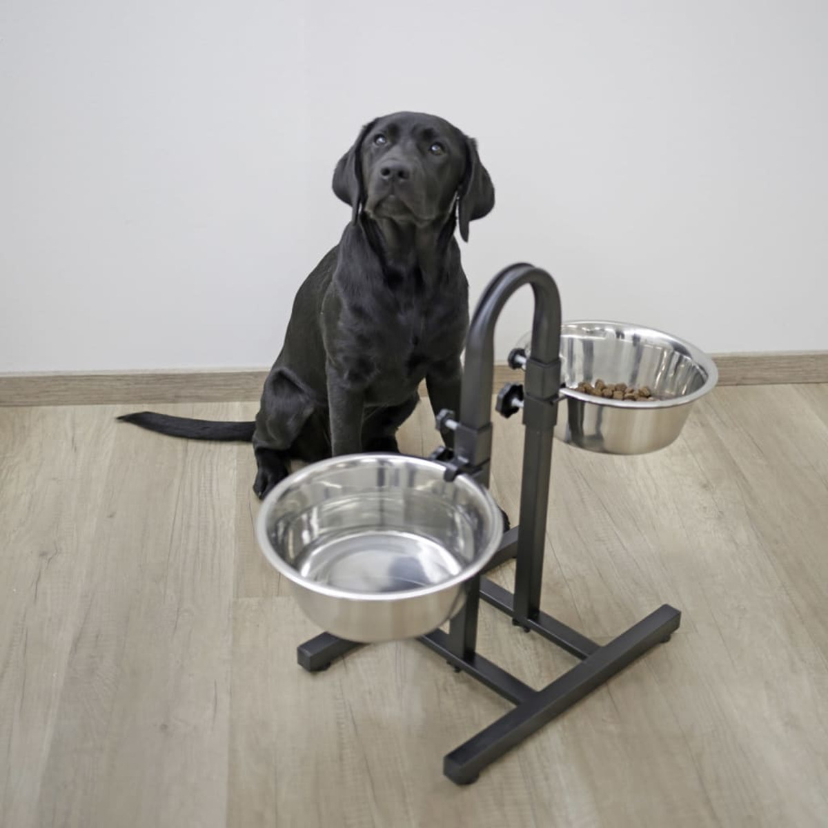 Un Labrador nero seduto accanto a un supporto per ciotole con due ciotole in acciaio inox.