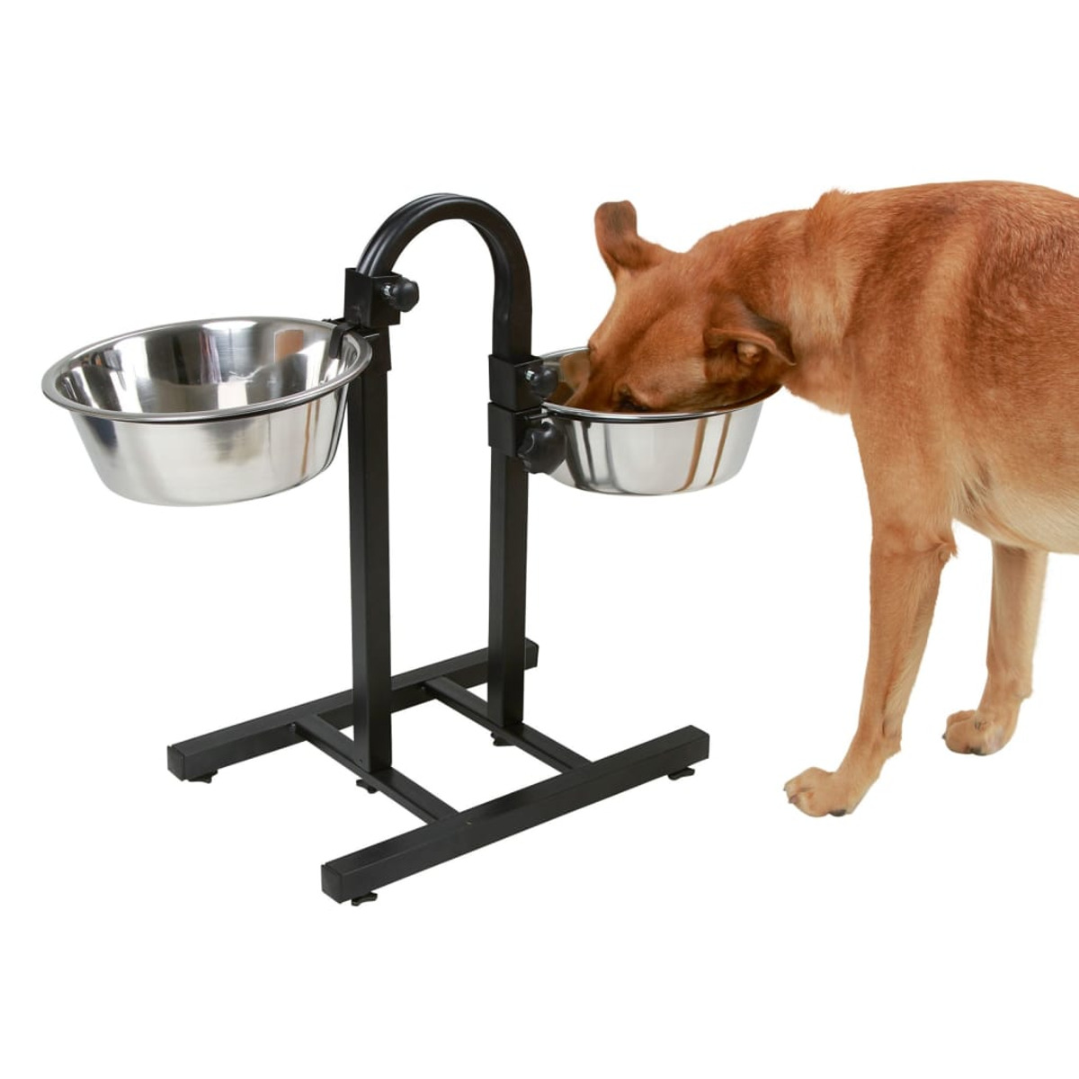 Un cane mangia da una ciotola su un supporto nero.