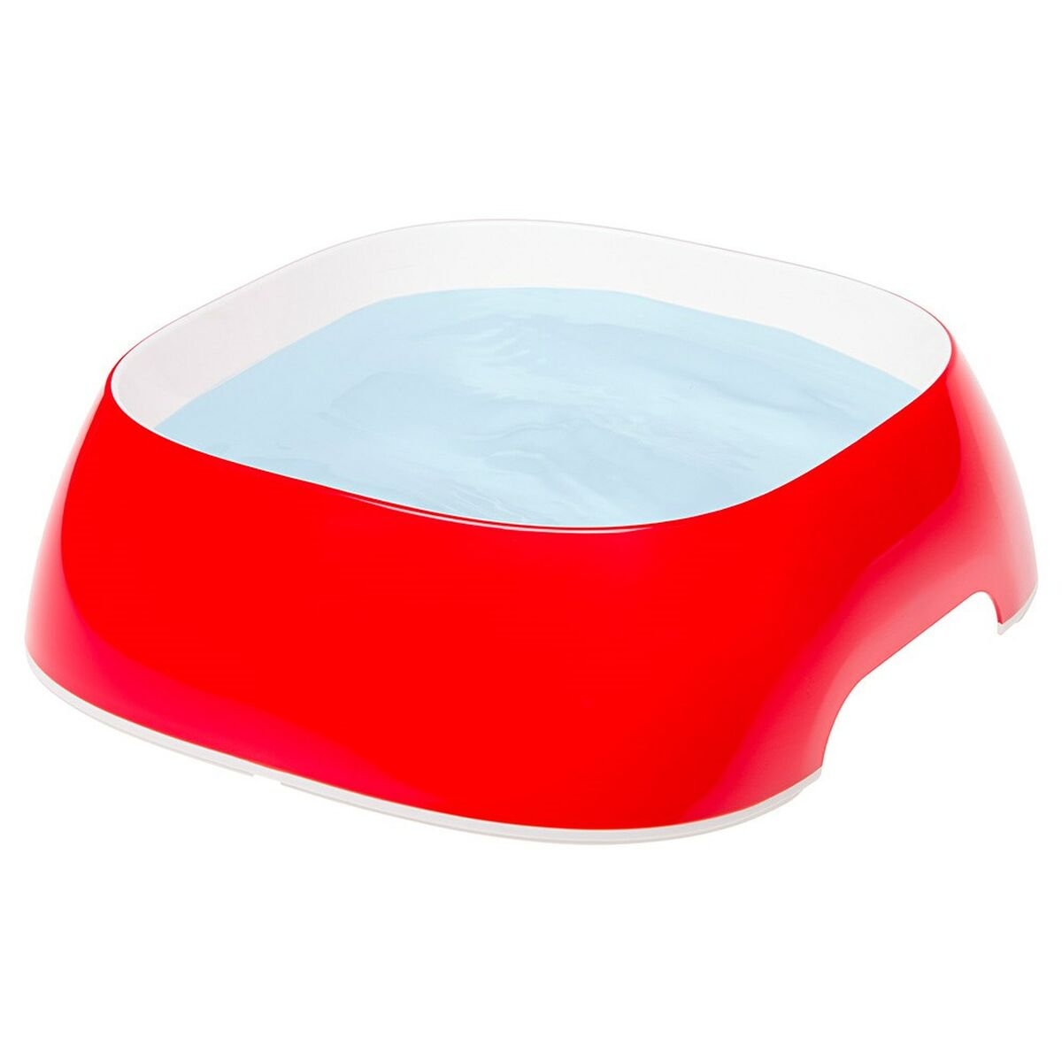 Ciotola rossa piena d'acqua, su sfondo bianco.