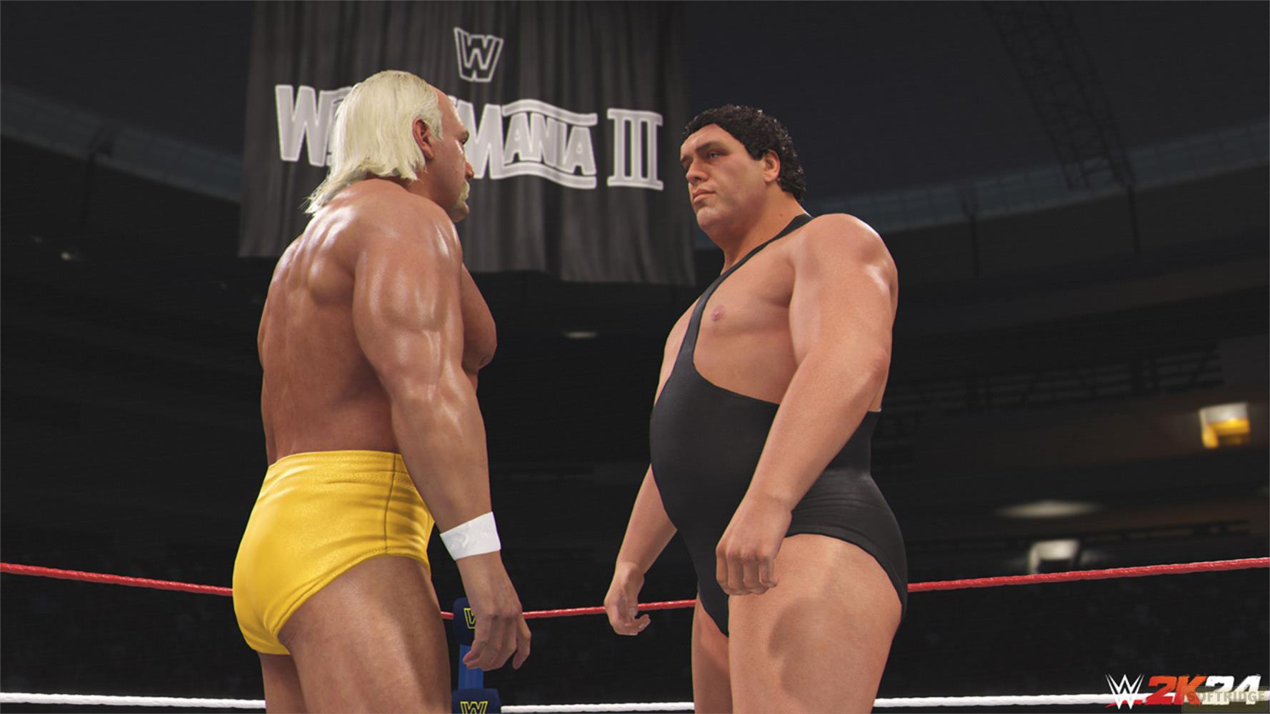 Deux lutteurs dans un ring, Hulk Hogan en jaune, Andre the Giant en noir.