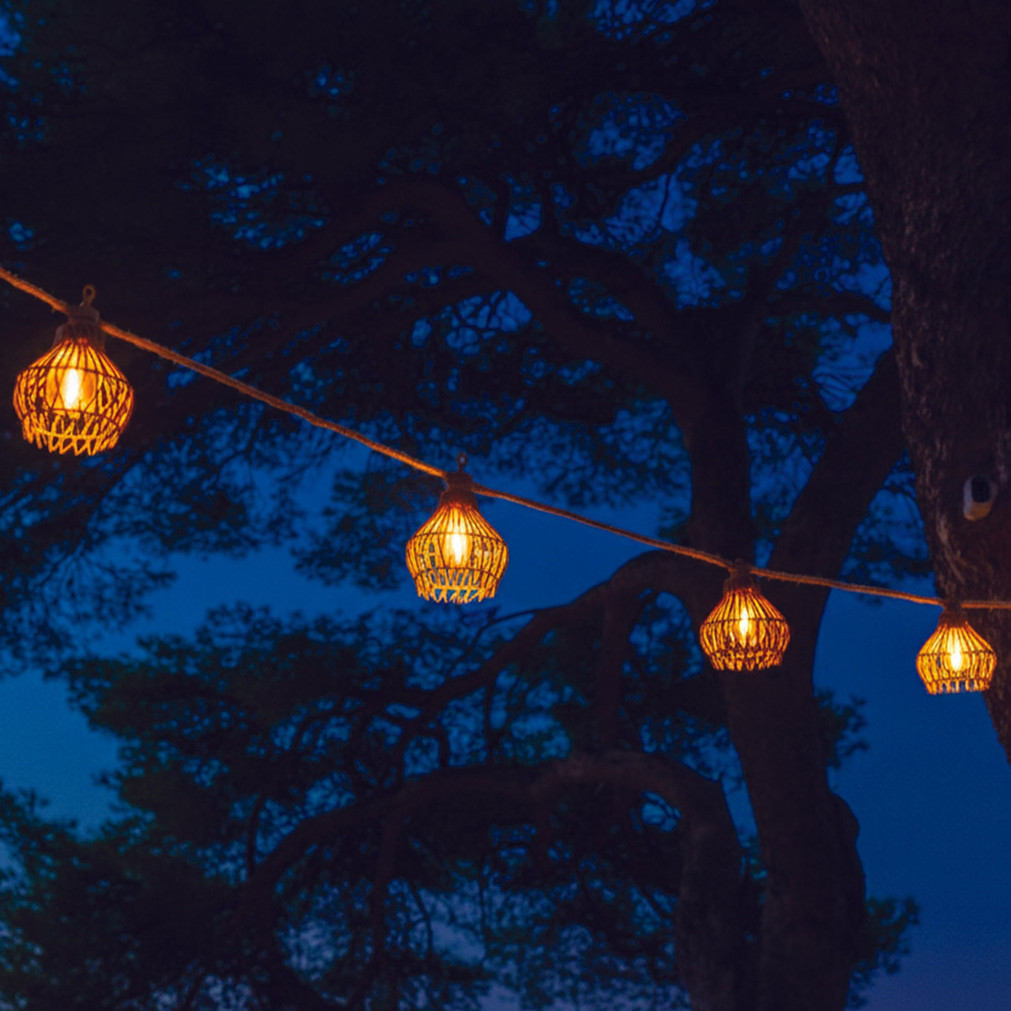 Lichterkette mit geflochtenen Lampen hängt vor dunklem Baum und Nachthimmel.