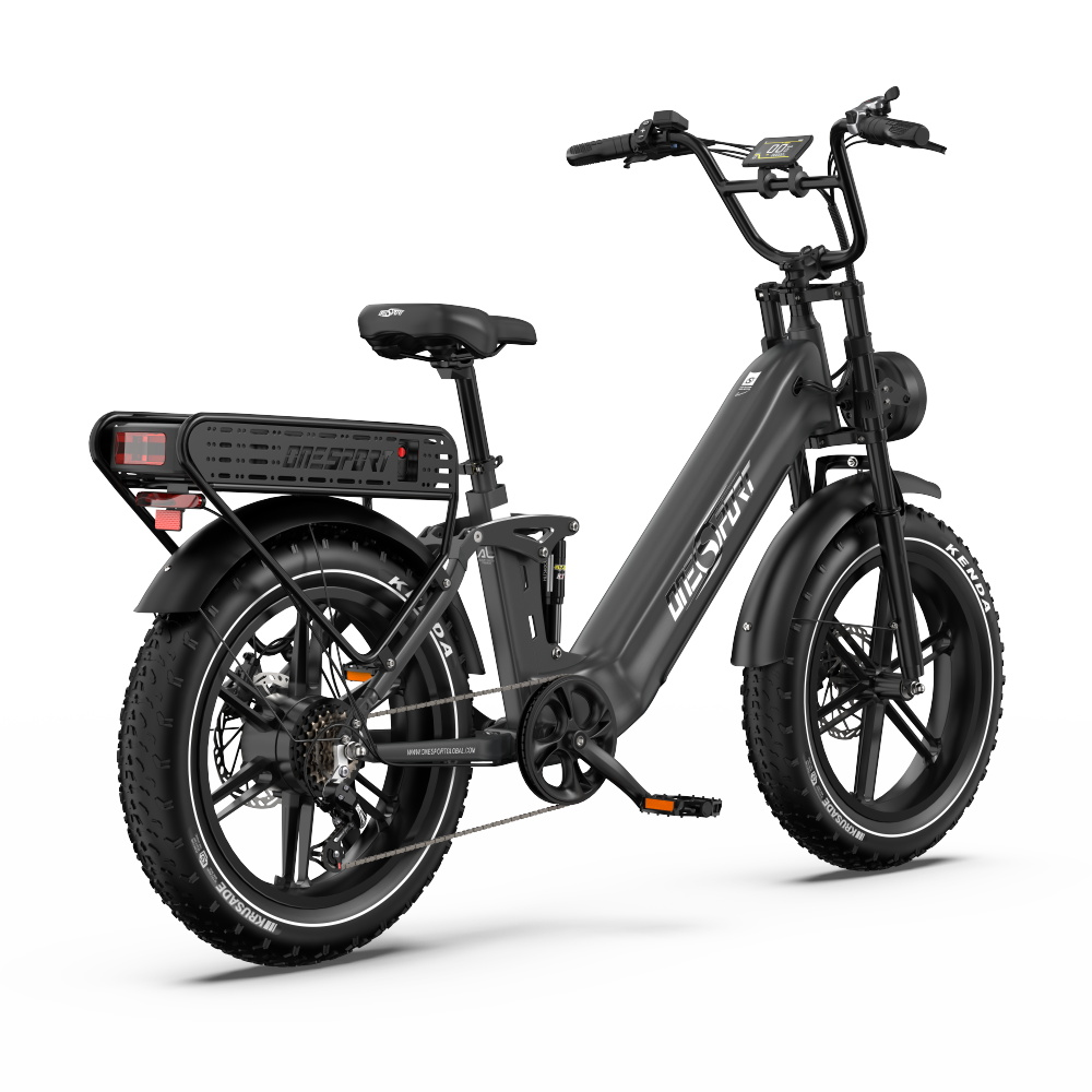 Ein schwarzes E-Bike mit breiten Reifen, Gepäckträger und Federung auf weißem Hintergrund.