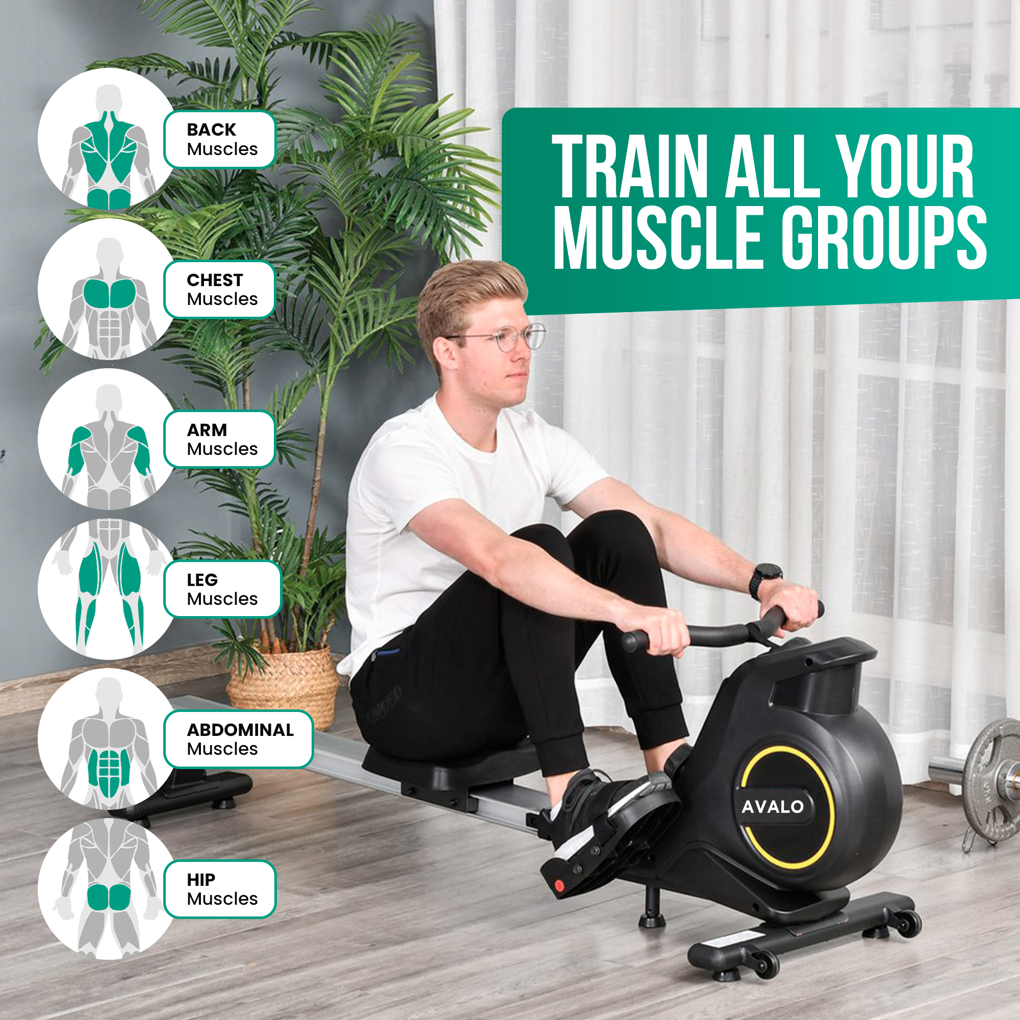 Man using a rowing machine with muscle groups highlighted.