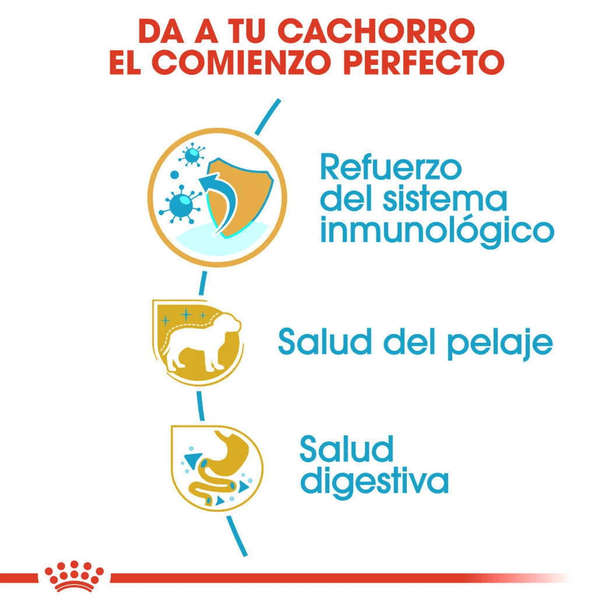 Gráfico muestra tres iconos: sistema inmune, salud del pelaje, digestión.