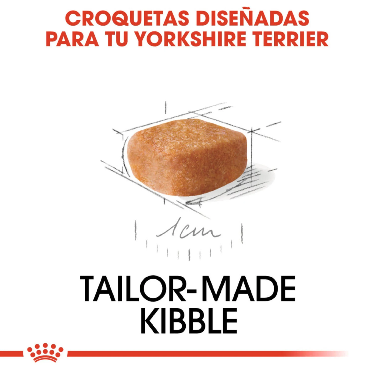 Croquetas a medida para tu Yorkshire Terrier.