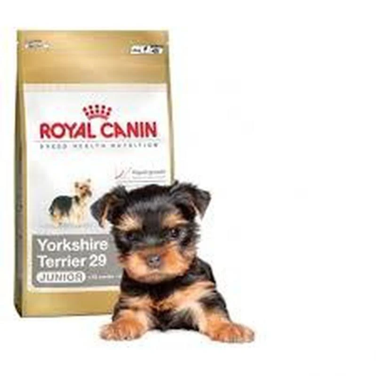 Un cachorro de Yorkshire Terrier yace frente a una bolsa de comida para perros Royal Canin Yorkshire Terrier 29 Junior.