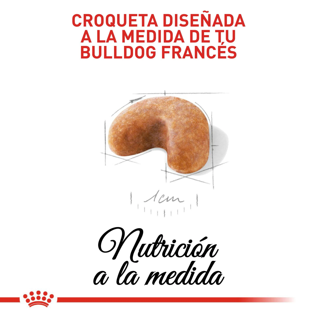 Croqueta para Bulldog Francés, con indicación de tamaño.