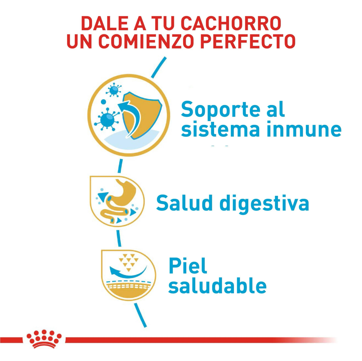 Soporte inmune, salud digestiva, piel saludable.