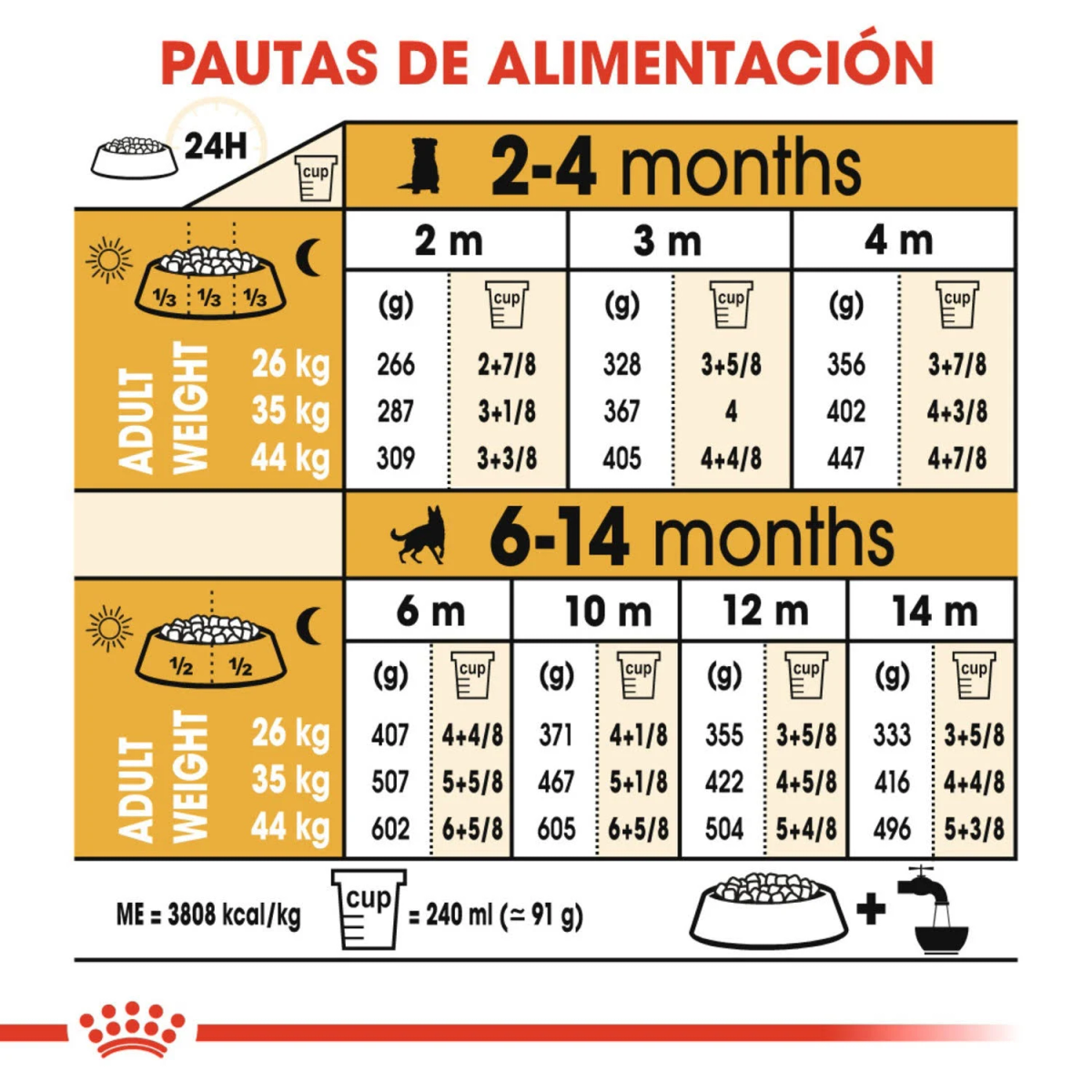 Tabla de alimentación para perros: Edad, peso, cantidad de comida (g/taza) para 2-4 y 6-14 meses.