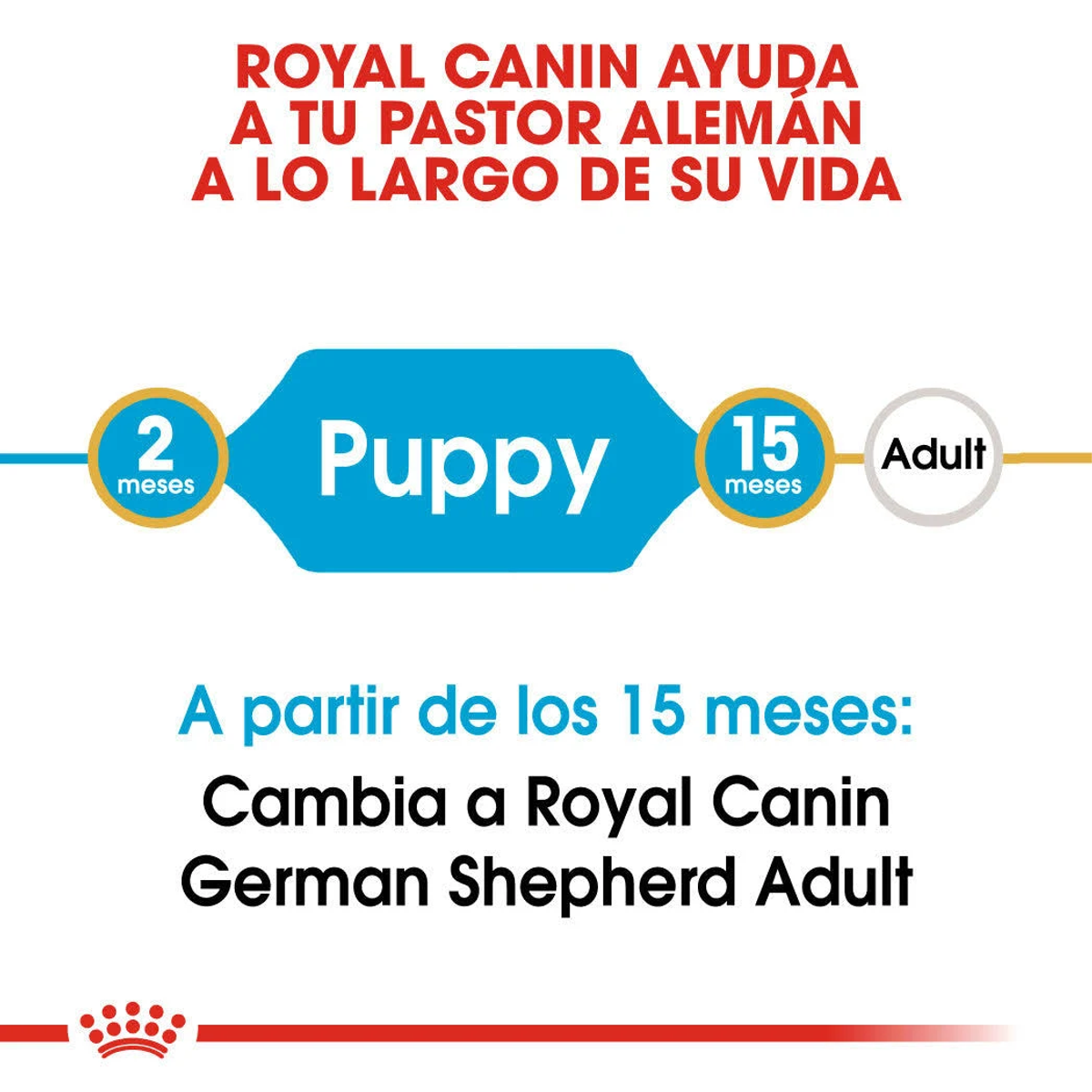 Royal Canin: Cachorro hasta 15 meses, luego Adulto para Pastor Alemán.