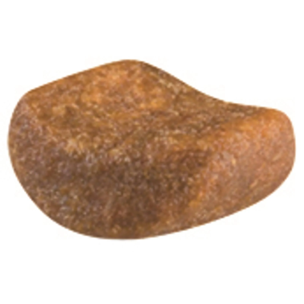 Pojedynczy brązowy, nieregularny kawałek karmy dla psów.