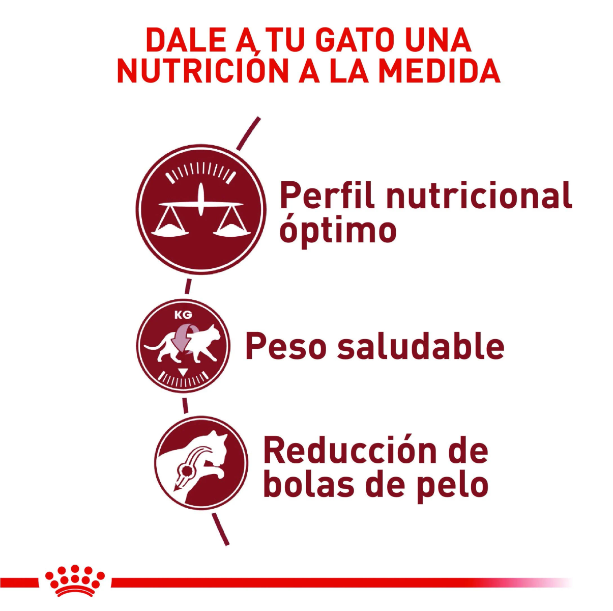 Tres iconos: balanza, gato con KG, cabeza con círculo. Texto: Nutrición a medida.