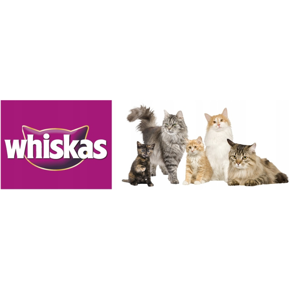 Logo Whiskas obok pięciu kotów różnych kolorów i rozmiarów.