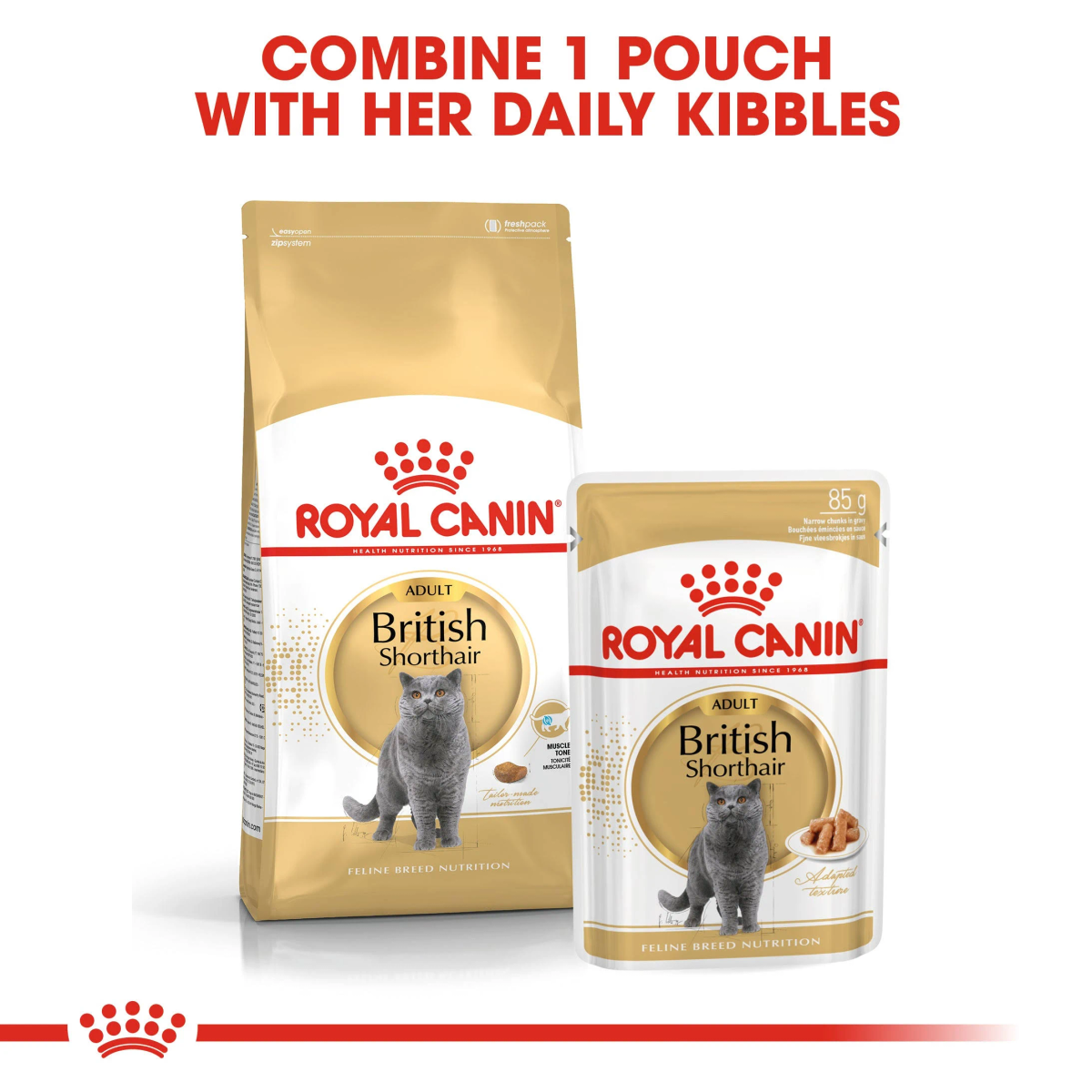 Saszetka i torba Royal Canin dla kotów brytyjskich krótkowłosych.