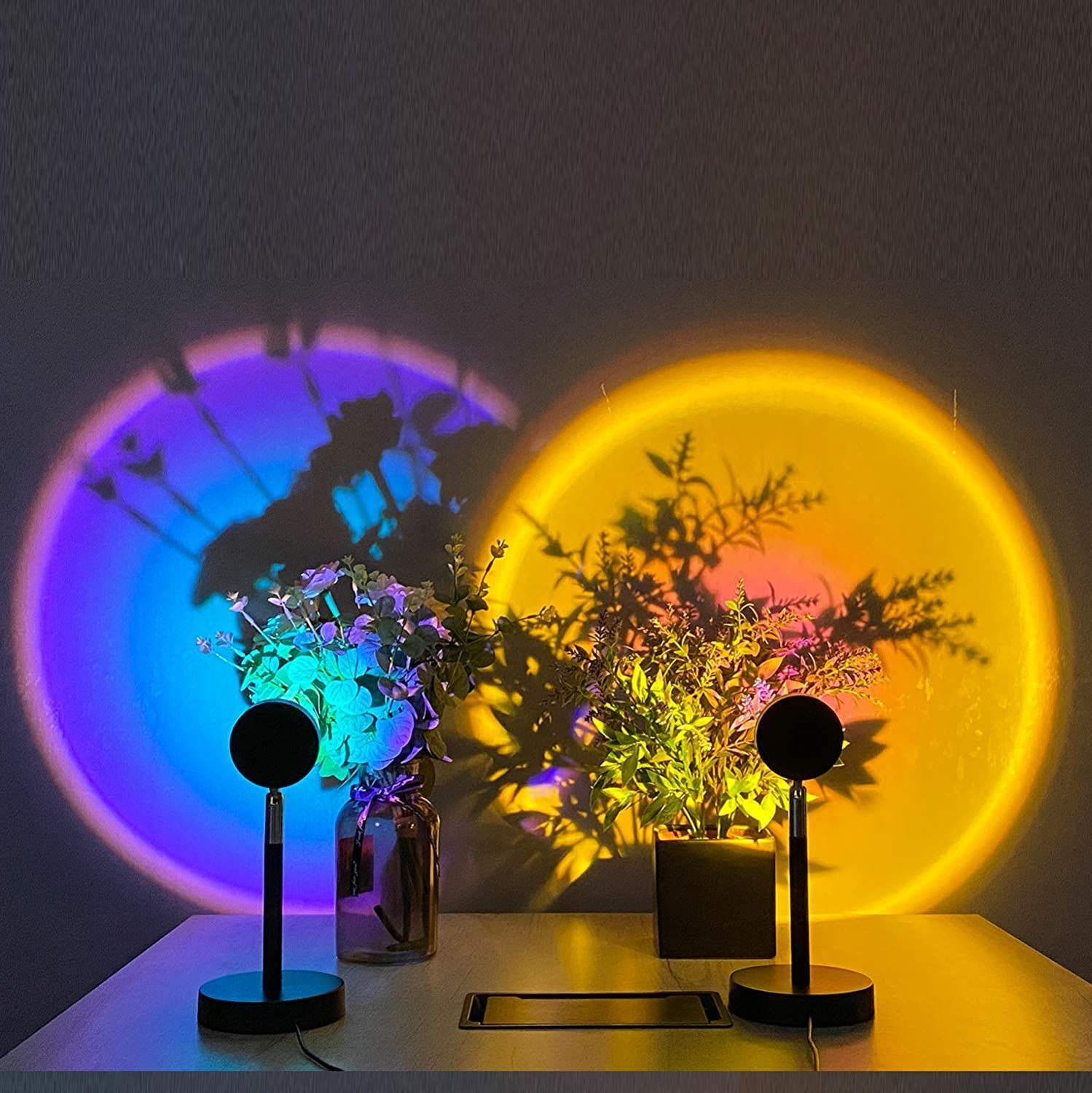 Zwei Lampen werfen bunte Lichtkreise (blau/violett und gelb/orange) auf eine Wand. Pflanzen sind im Vordergrund.
