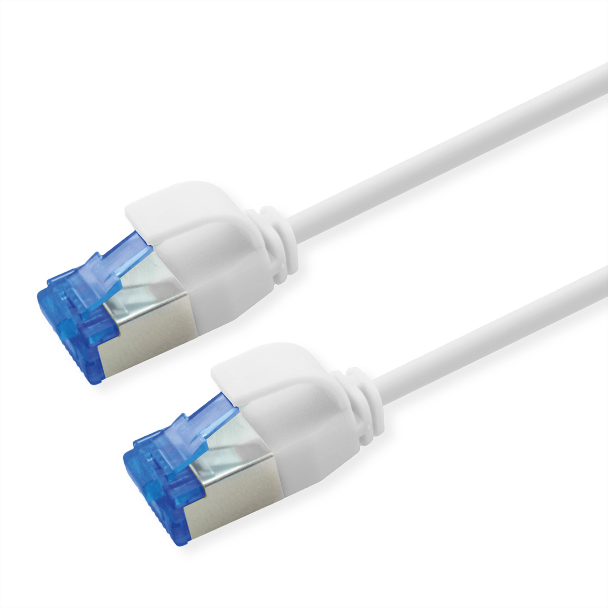 Twee witte netwerkkabels met blauwe en zilveren connectoren op witte achtergrond.