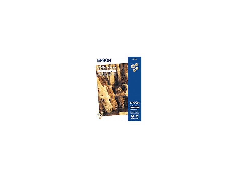EPSON C13S041256 Papier photo A4 1x Papier photo, Quantité minimum de ...