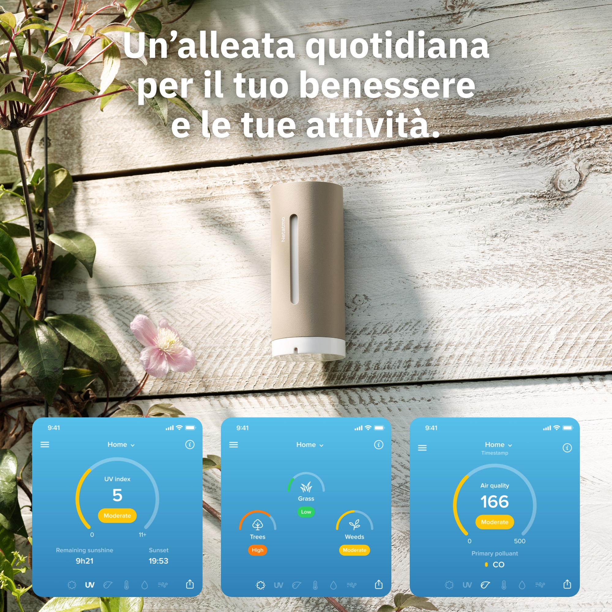 Ein wetterfester Sensor auf Holz vor Pflanzen und drei Smartphone-Bildschirmen mit Wetterdaten.