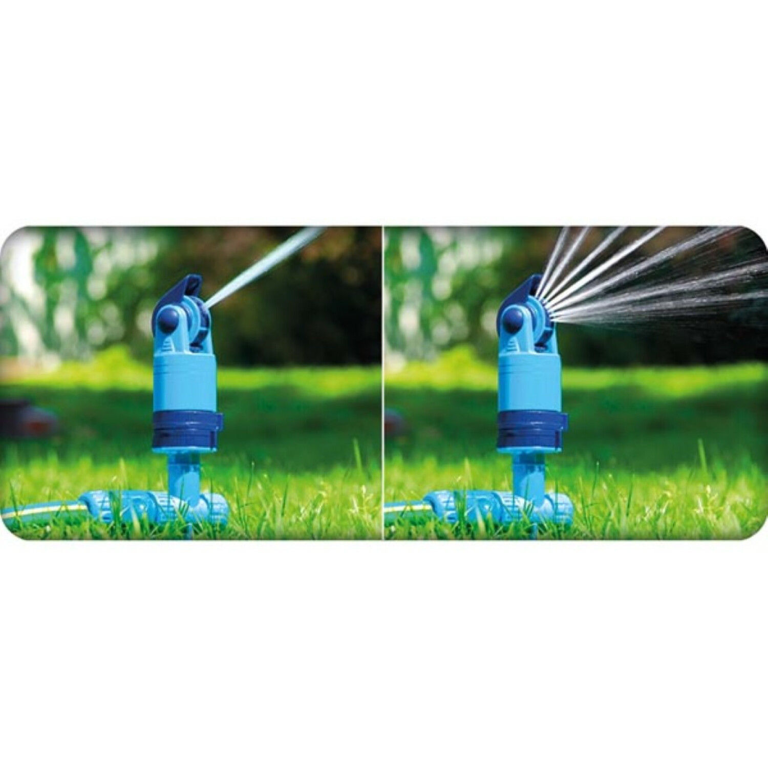 Ein blauer Rasensprenger mit Wasserstrahlen auf grünem Gras.