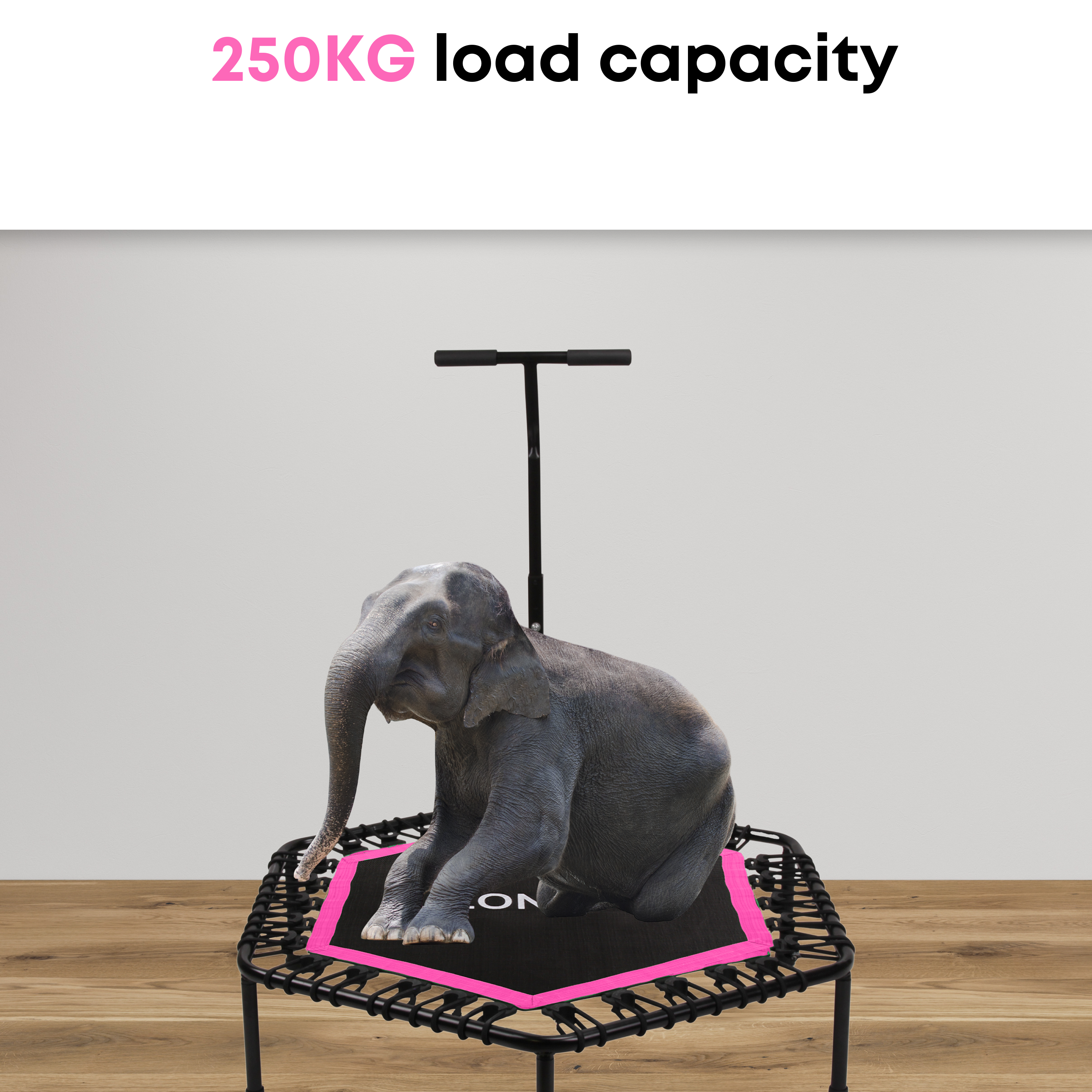 Olifant zit op een trampoline met roze rand en handvat.