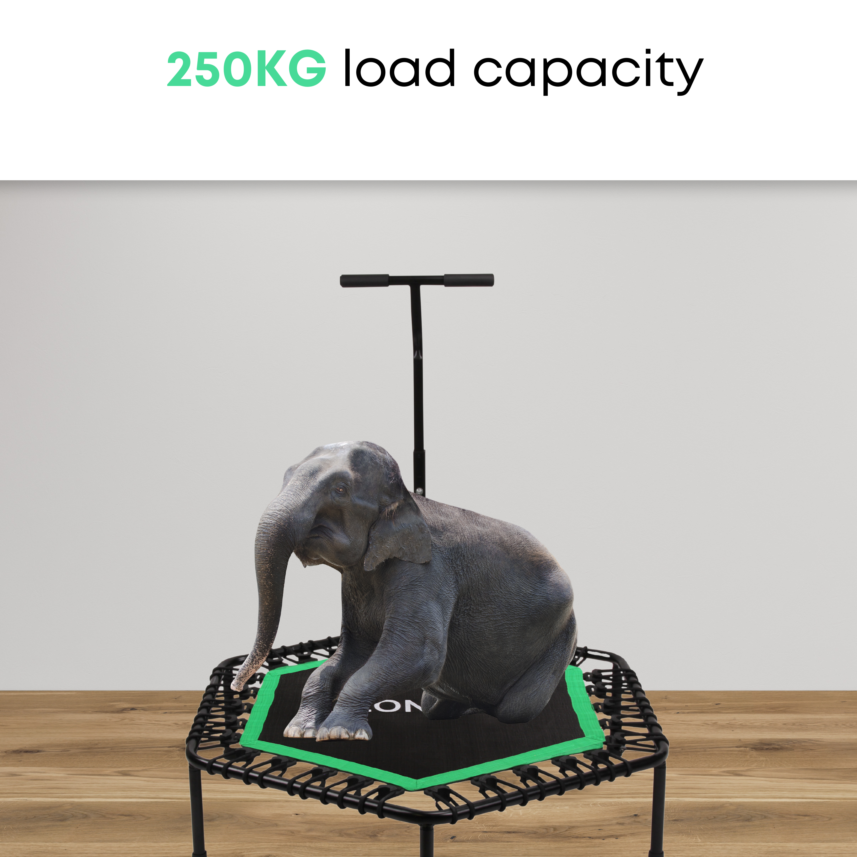 Een grote olifant zit op een zwarte trampoline met groene rand, tegen een witte muur en houten vloer, toont 250 kg draagvermogen.
