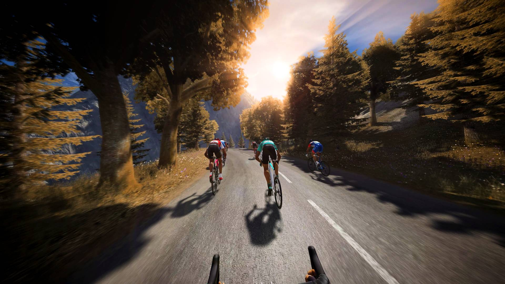 Radsportler fahren auf einer Bergstraße im Sonnenlicht, umgeben von Bäumen.
