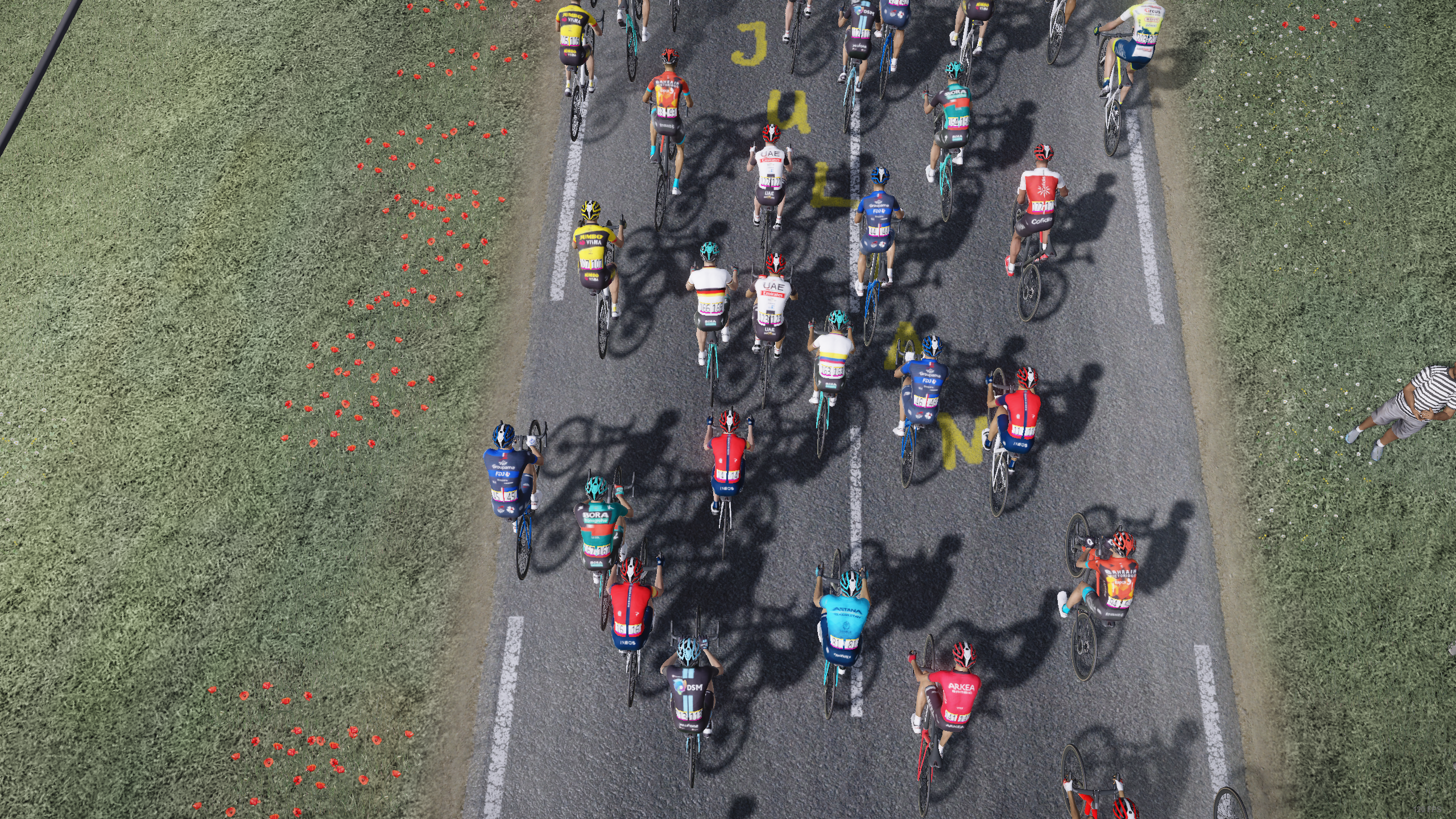Radsportler fahren in einer Gruppe auf einer Straße, mit Gras und Mohnblumen am Rand.