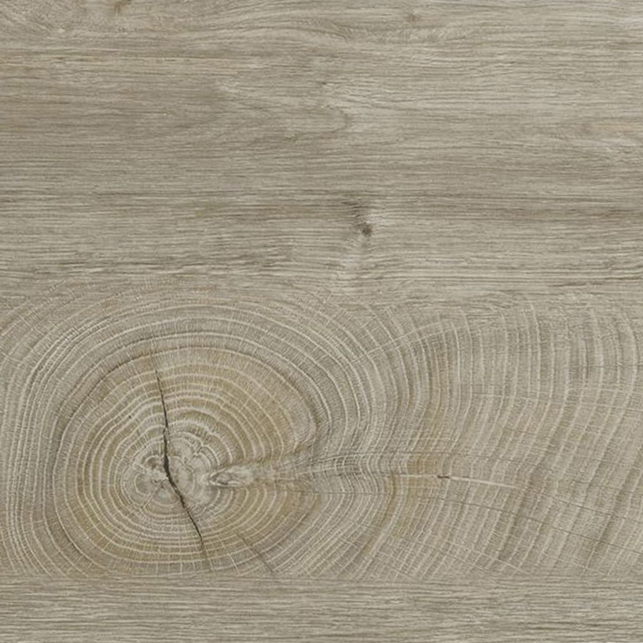 Veta de madera con anillos de crecimiento y grietas visibles en tonos neutros.
