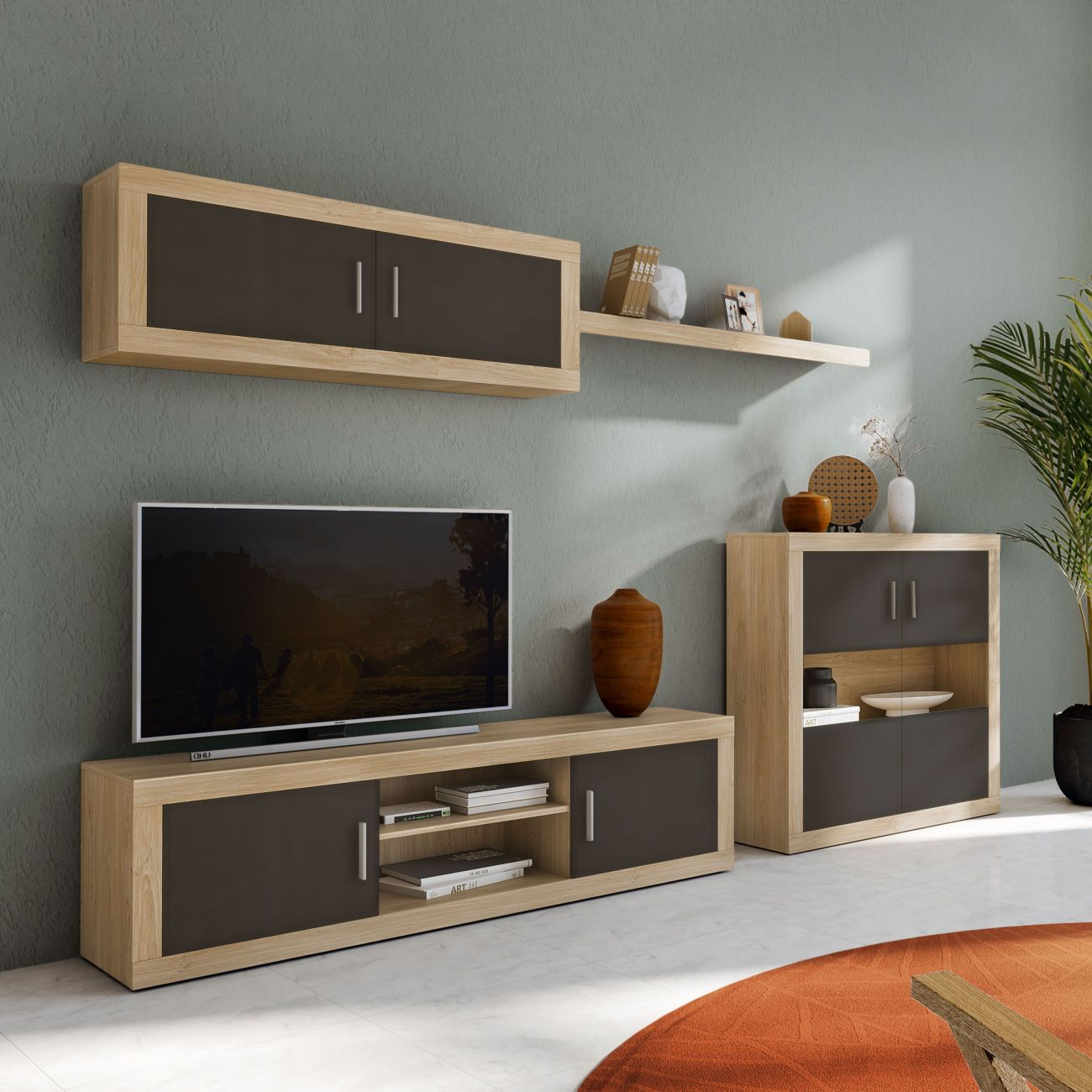 Sala de estar moderna con mueble de TV, estantes de pared y planta.