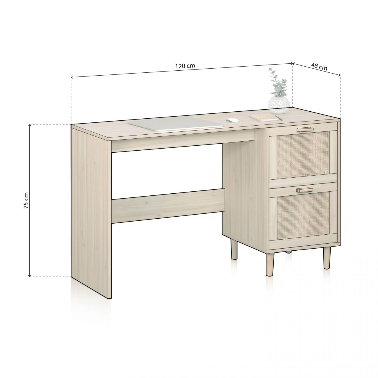 Escritorio de madera con cajones, portátil y jarrón con planta. Dimensiones indicadas.