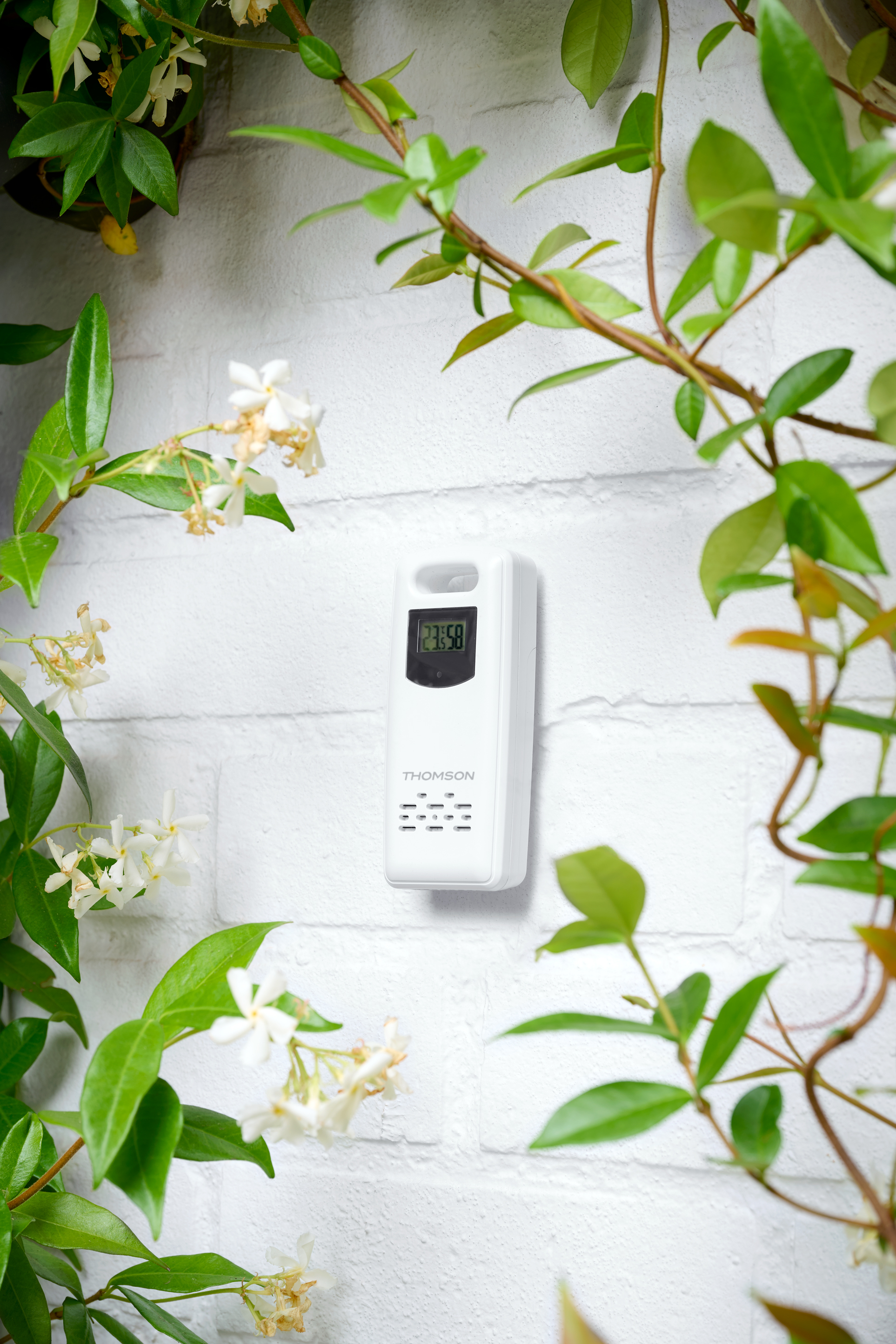 Biała stacja pogodowa Thomson wisi na ceglanym murze, otoczona zielonymi liśćmi i białymi kwiatami.