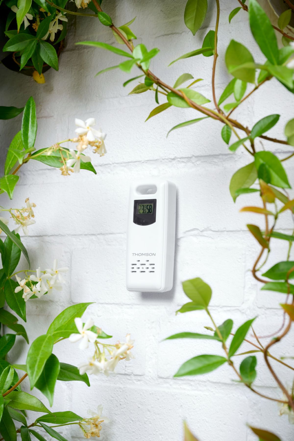 Biała stacja pogodowa Thomson wisi na ceglanym murze, otoczona zielonymi pnączami i białymi kwiatami.
