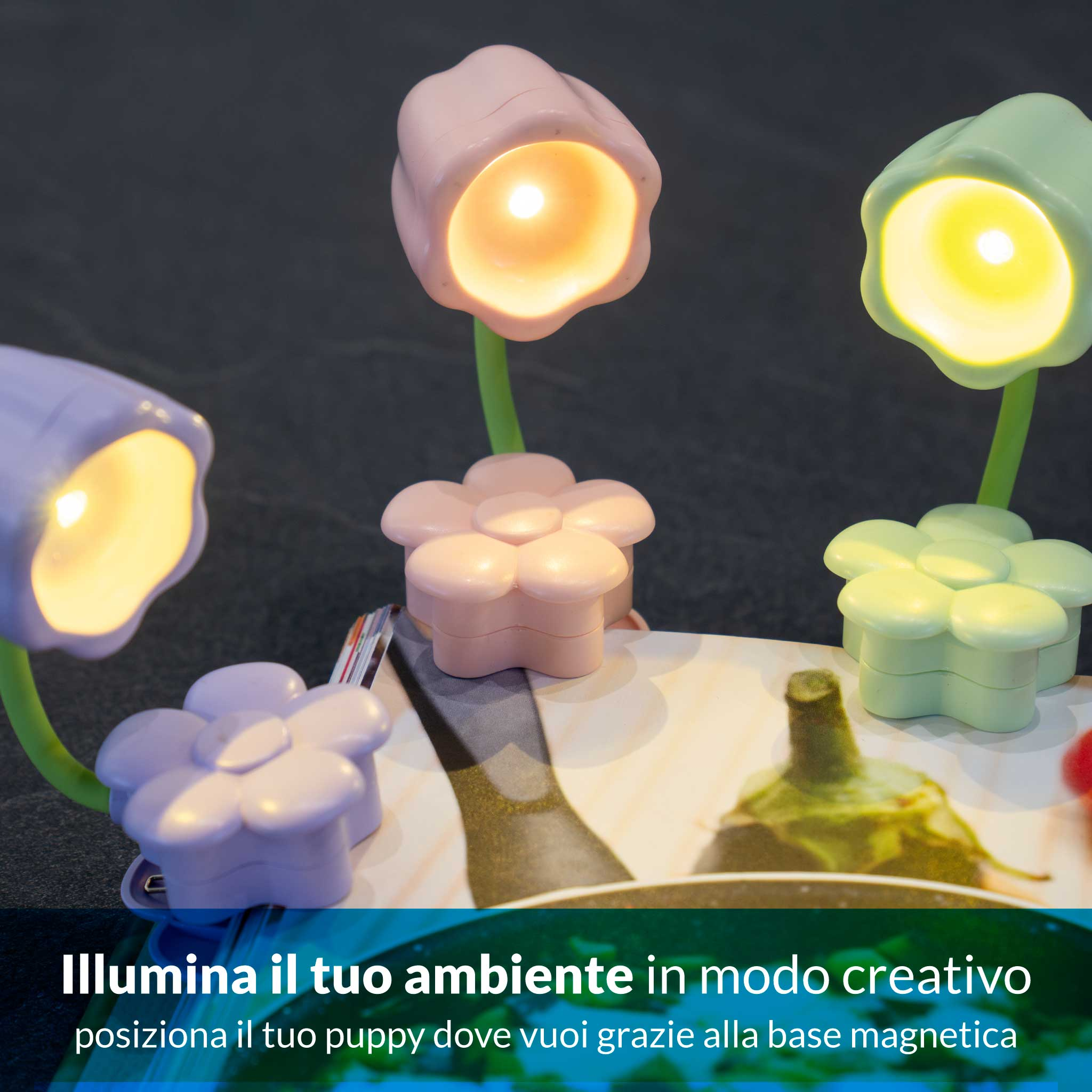 Quattro lampade colorate a forma di fiore brillano.