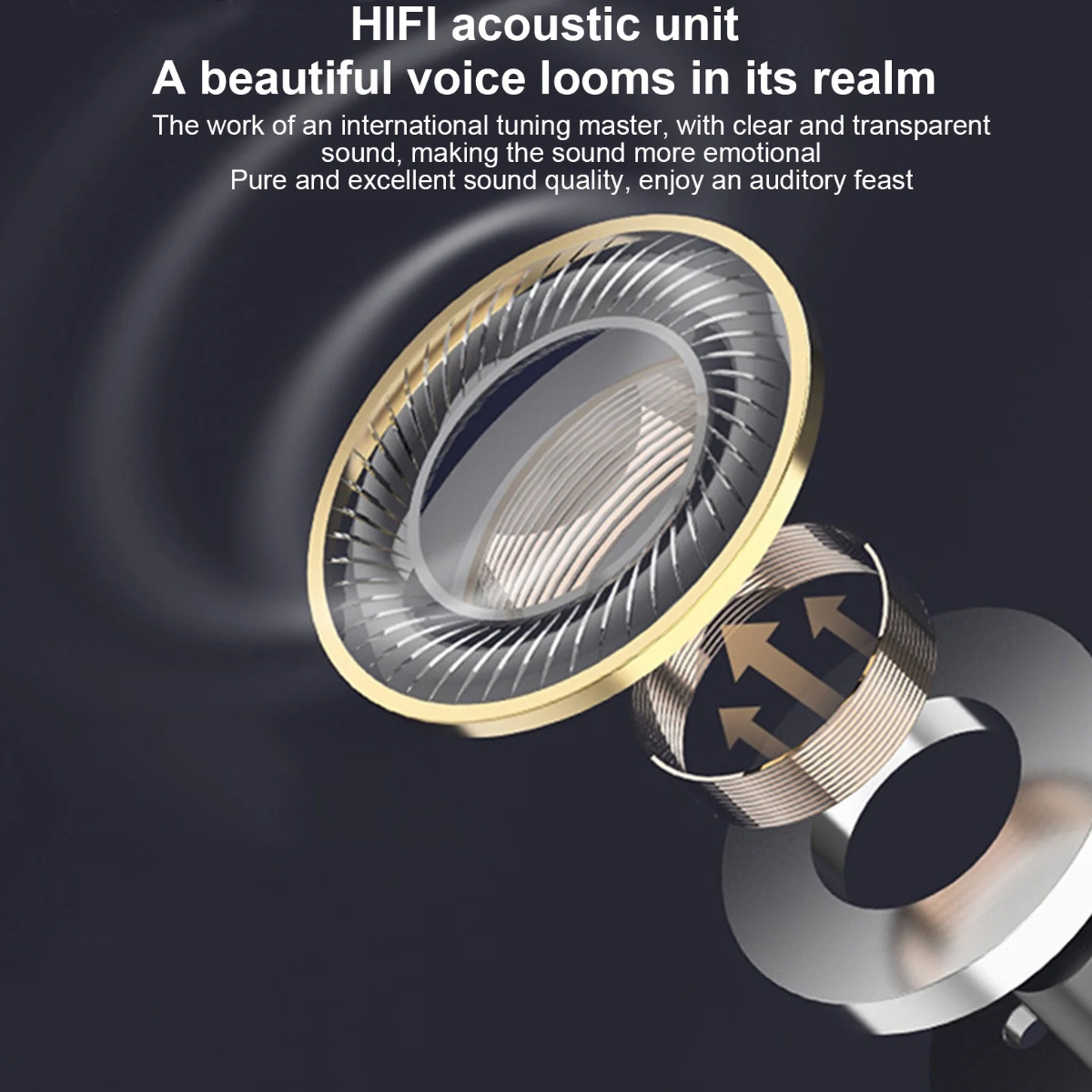 Nahaufnahme eines HIFI-Lautsprecherchassis mit goldenem Rand und Membran.