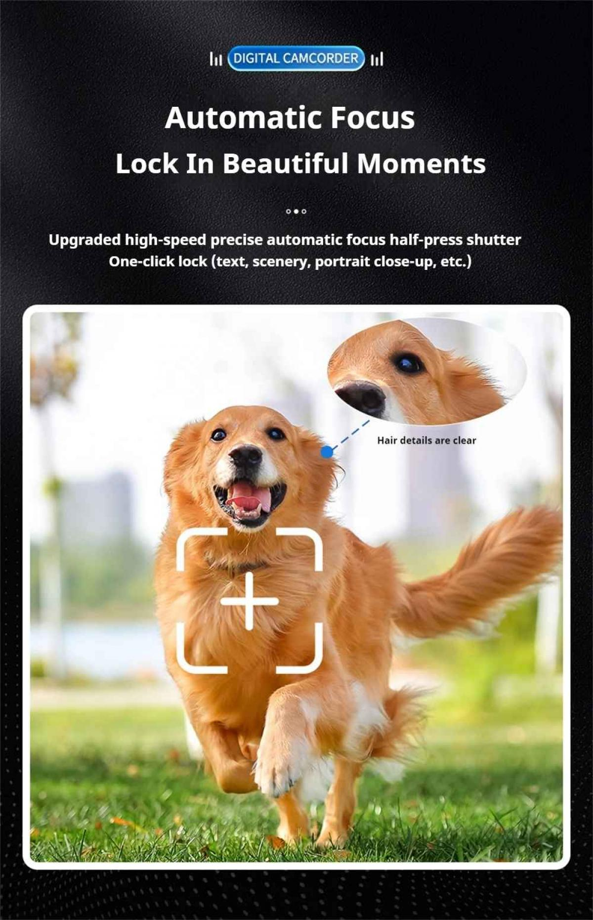 Ein Golden Retriever rennt auf einer Wiese mit einem Fokusrahmen auf seinem Körper.