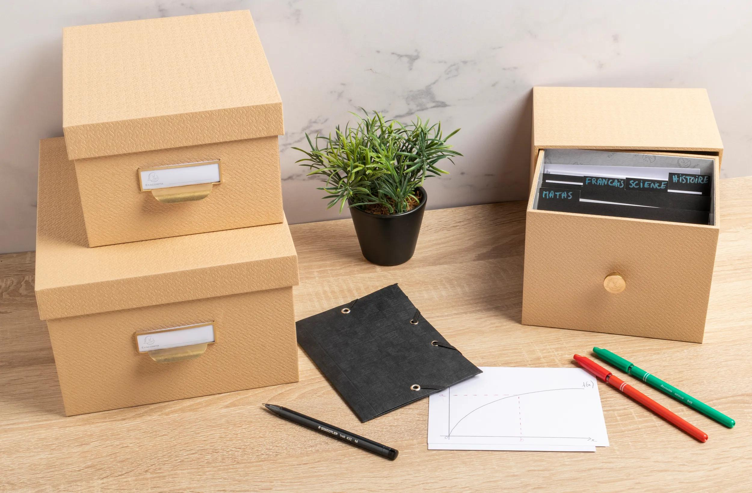 Cajas de almacenaje beige, una con cajón, junto a libreta, bolígrafo, planta y rotuladores.