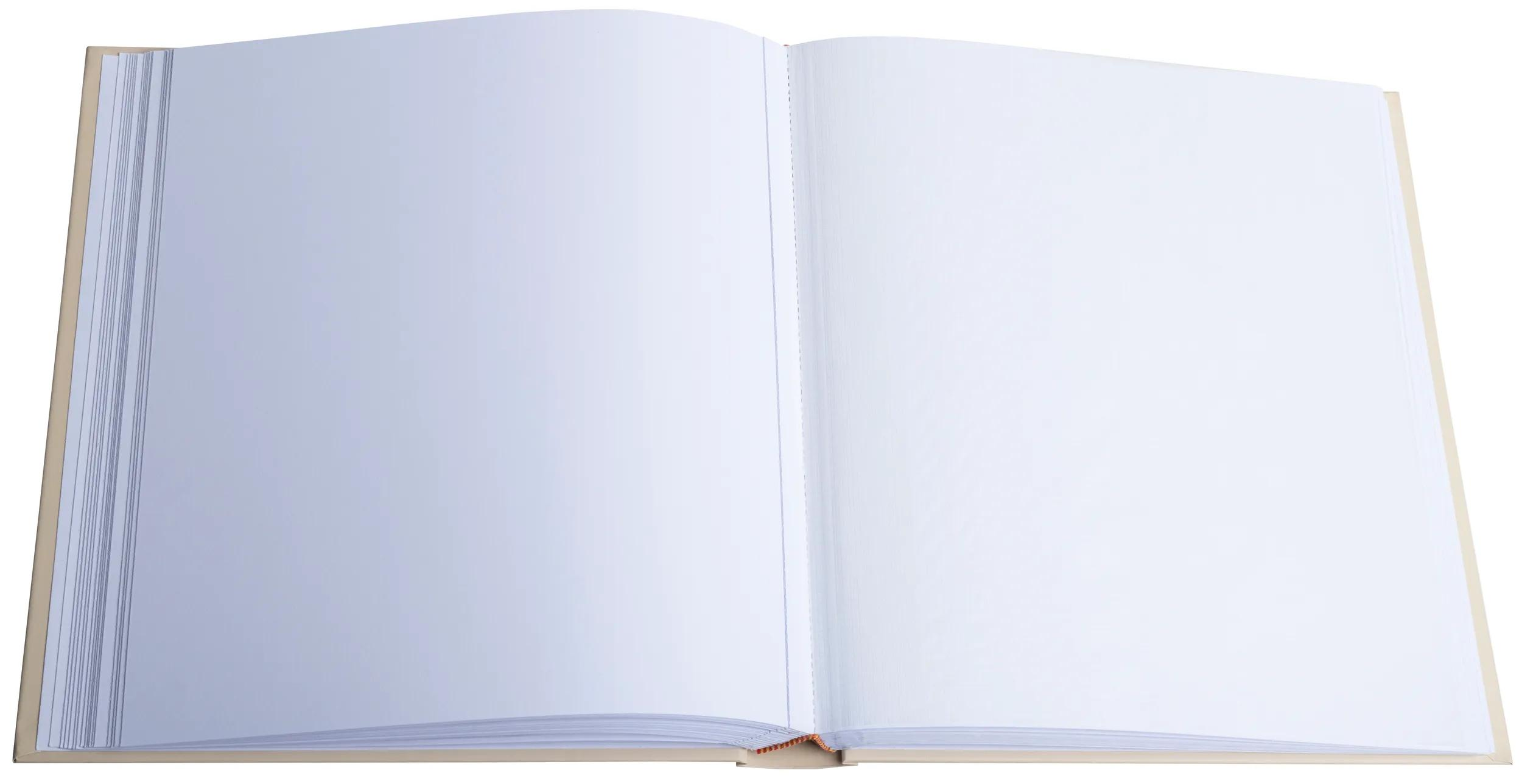 Un libro aperto con pagine bianche e azzurro chiaro e copertina beige.