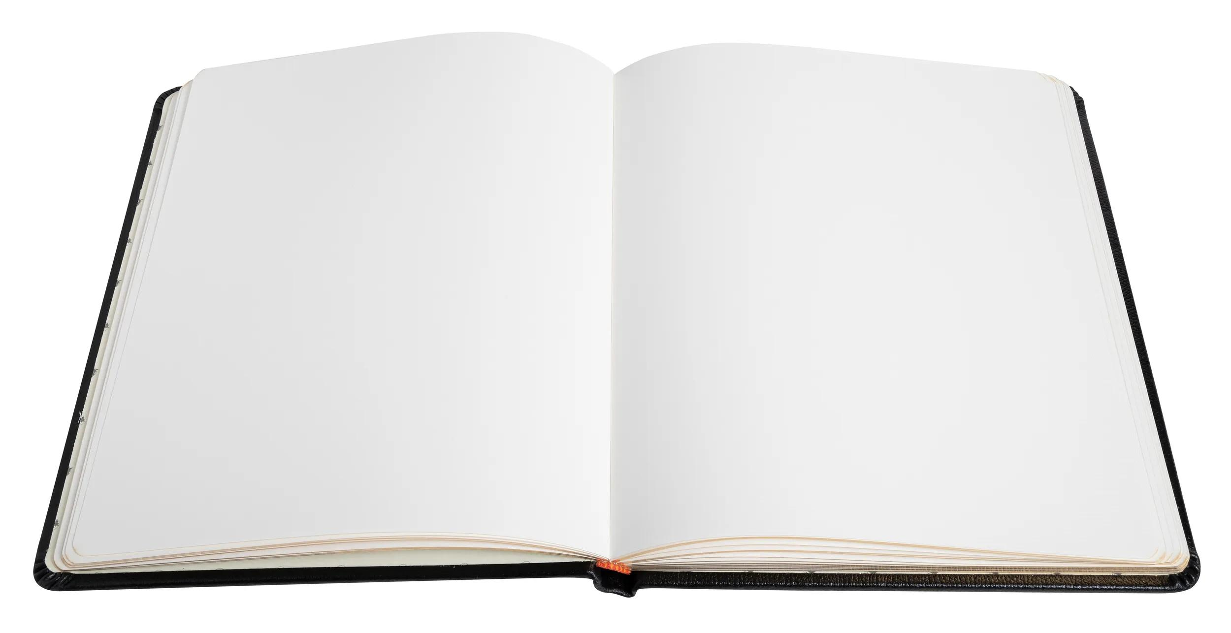 Un cuaderno abierto con cubierta negra y páginas blancas en blanco.