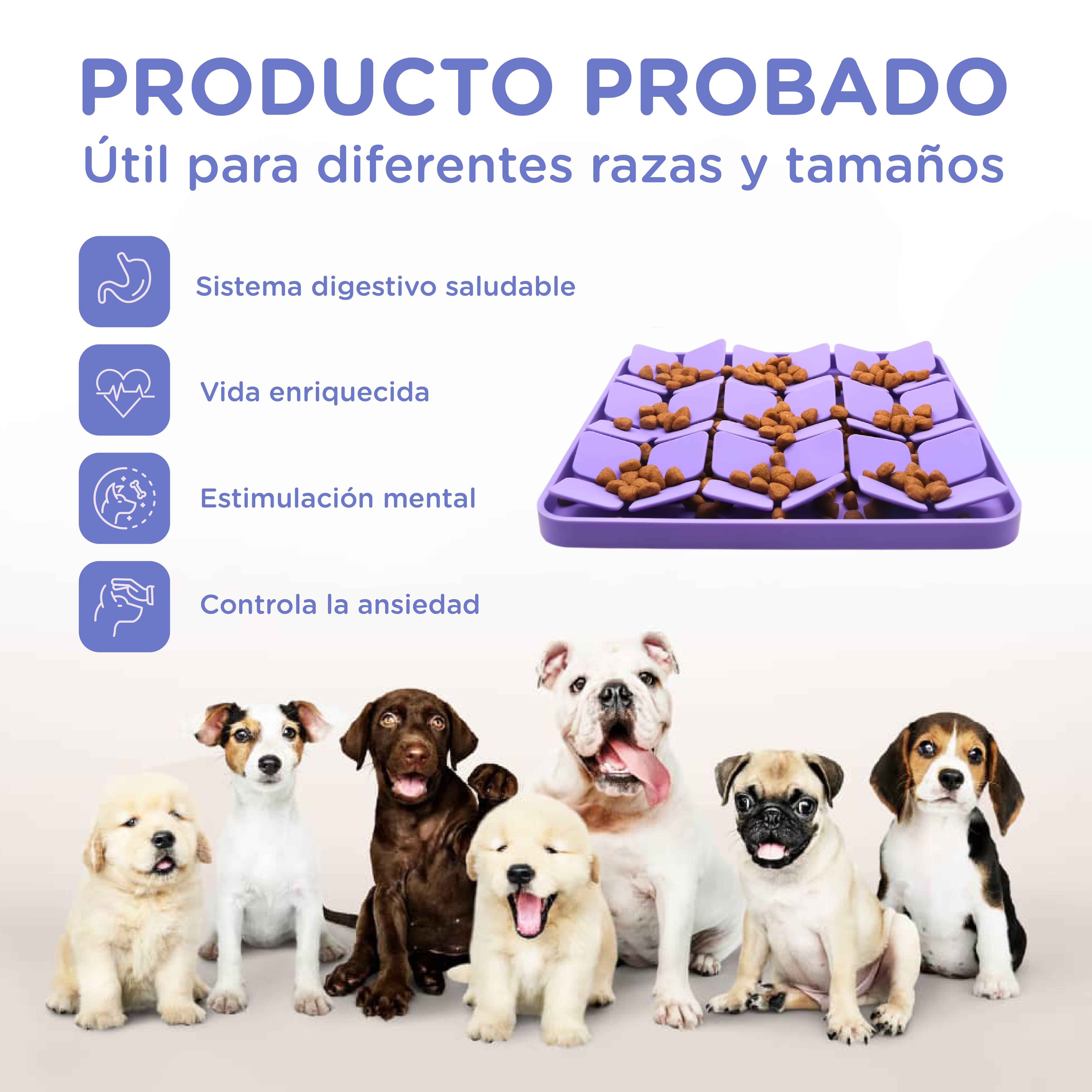 Perros sentados frente a un juguete dispensador de comida morado.