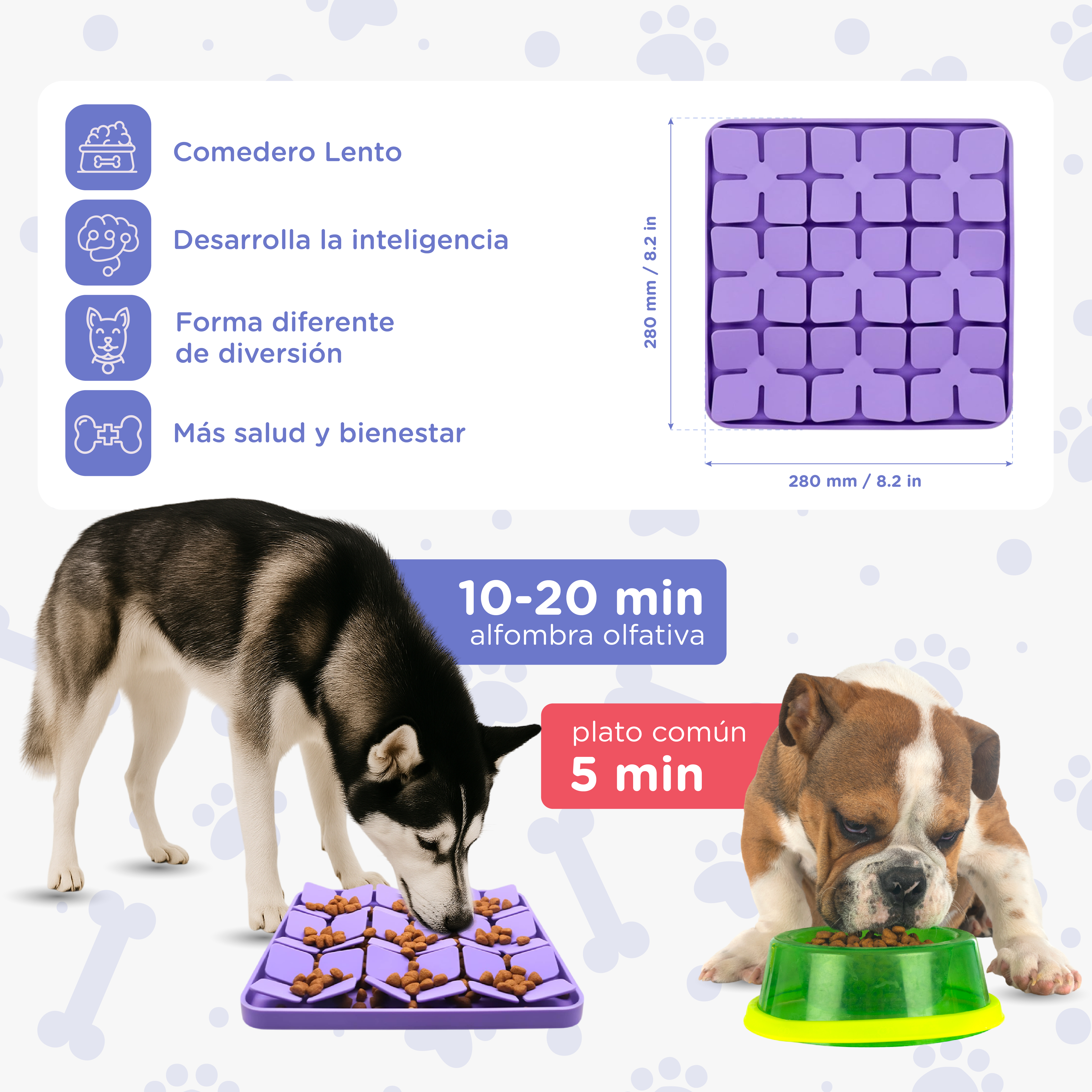 Husky come de comedero lento morado, bulldog de cuenco verde.