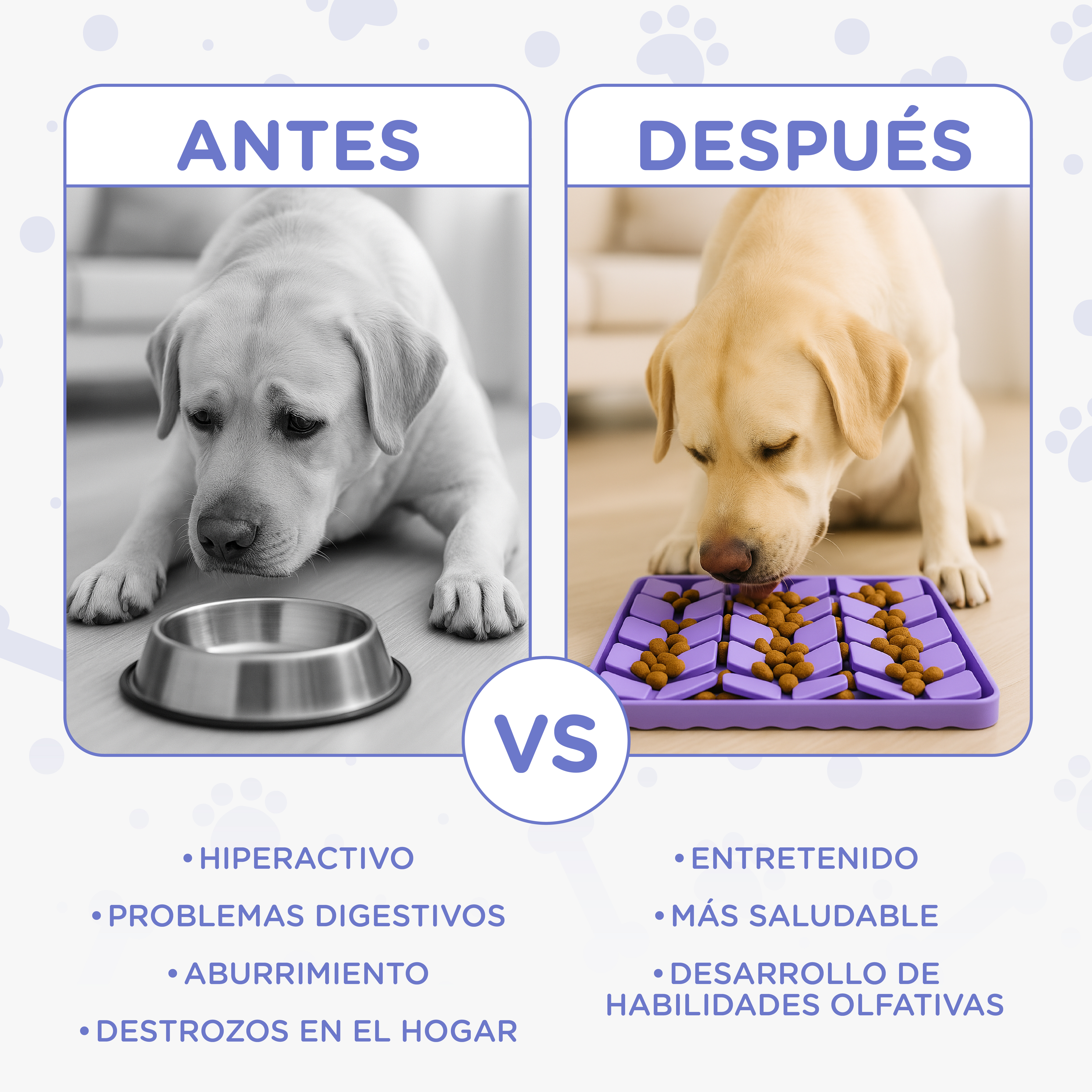 Antes y después: perro comiendo de un cuenco (izq., b/n) vs. comedero interactivo (der., color).