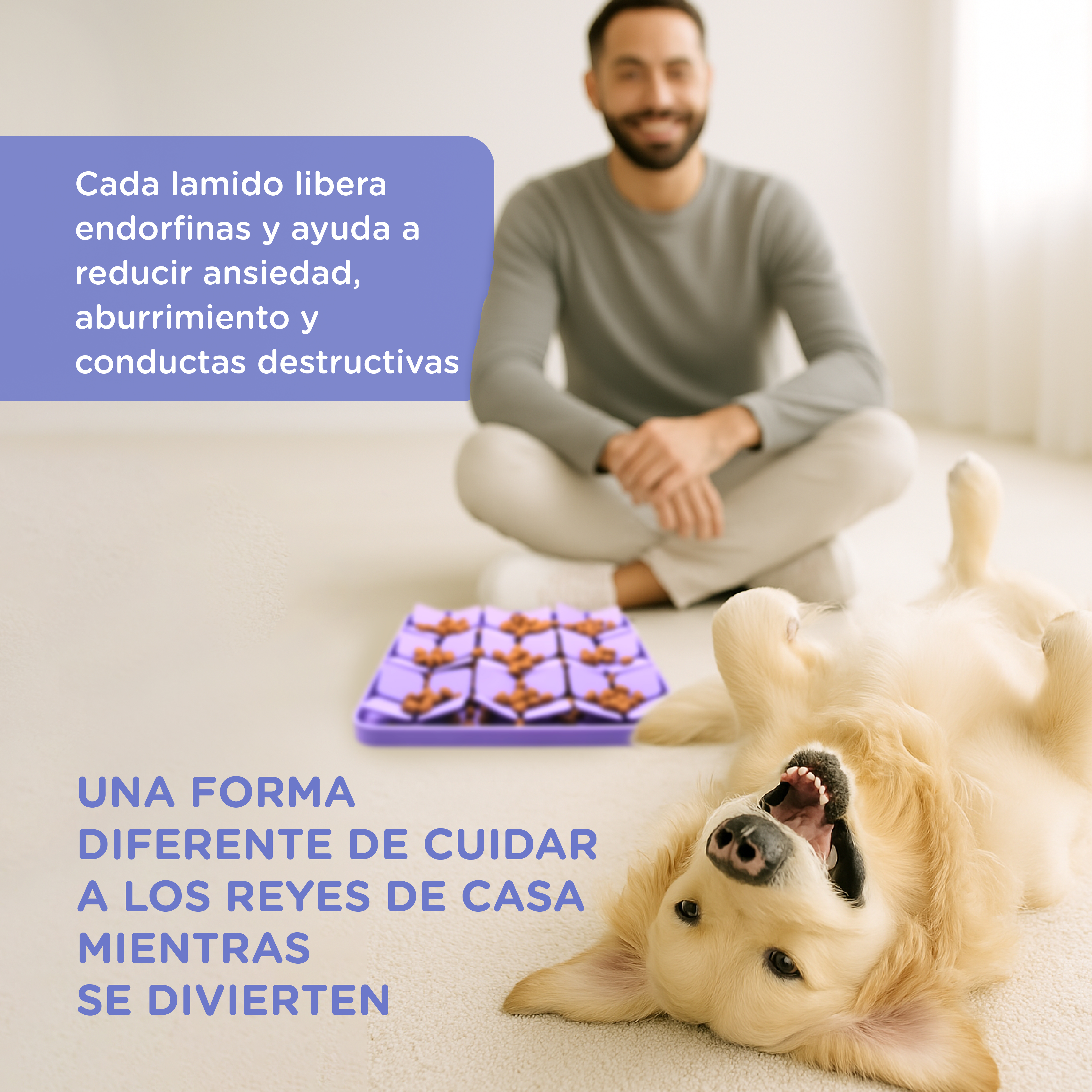 Un hombre se sienta detrás de un perro tumbado boca arriba con un juguete.