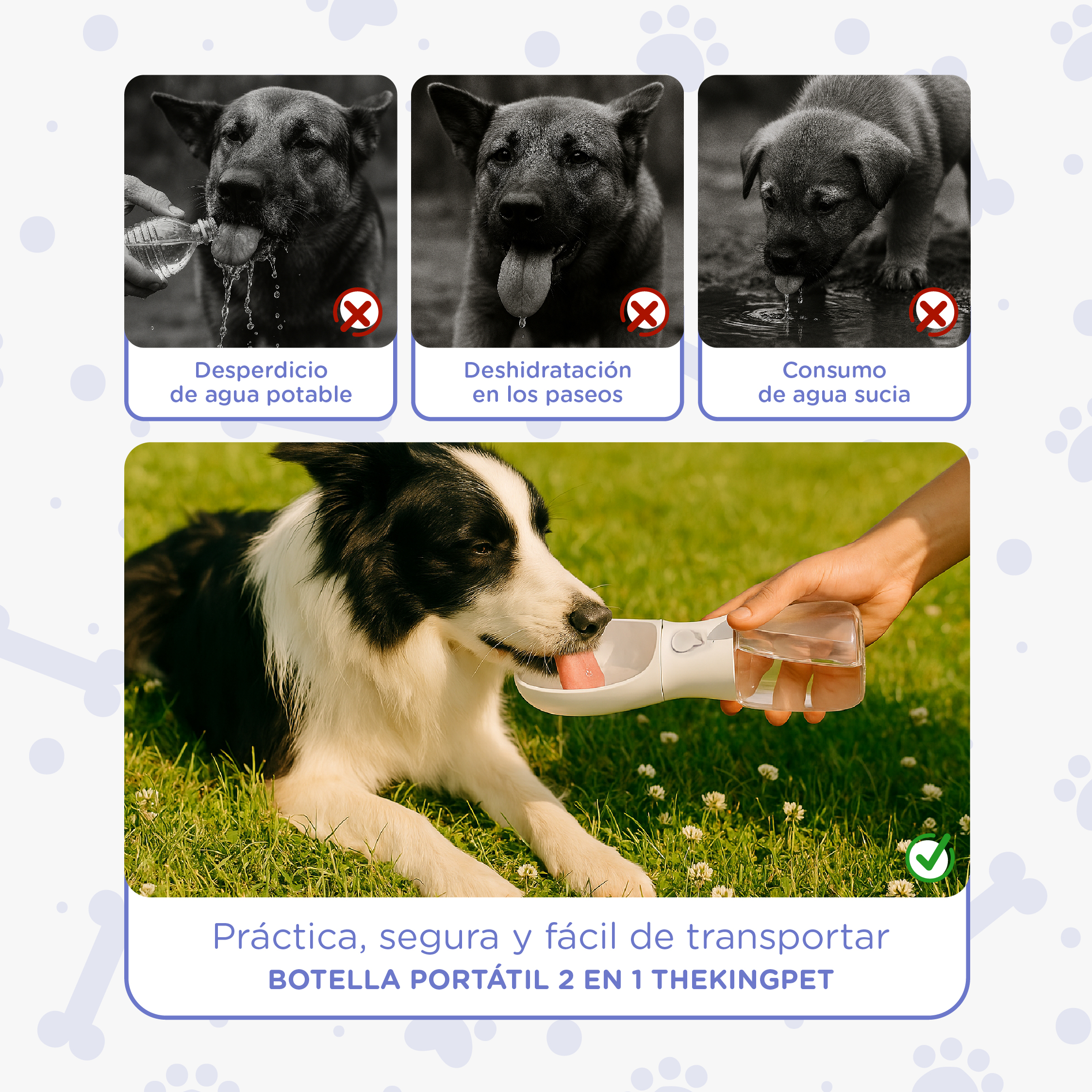 Perro bebe de botella portátil. Arriba: Perro desperdicia agua.